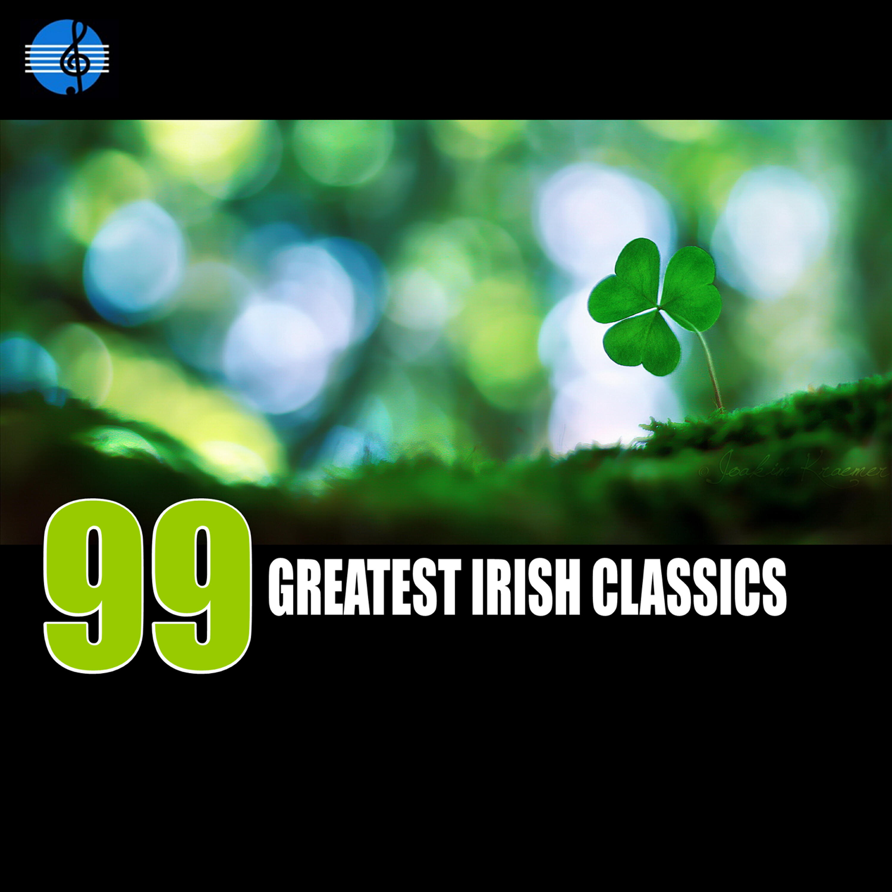 Sean Dynes - Paddy's Green Shamrock Store