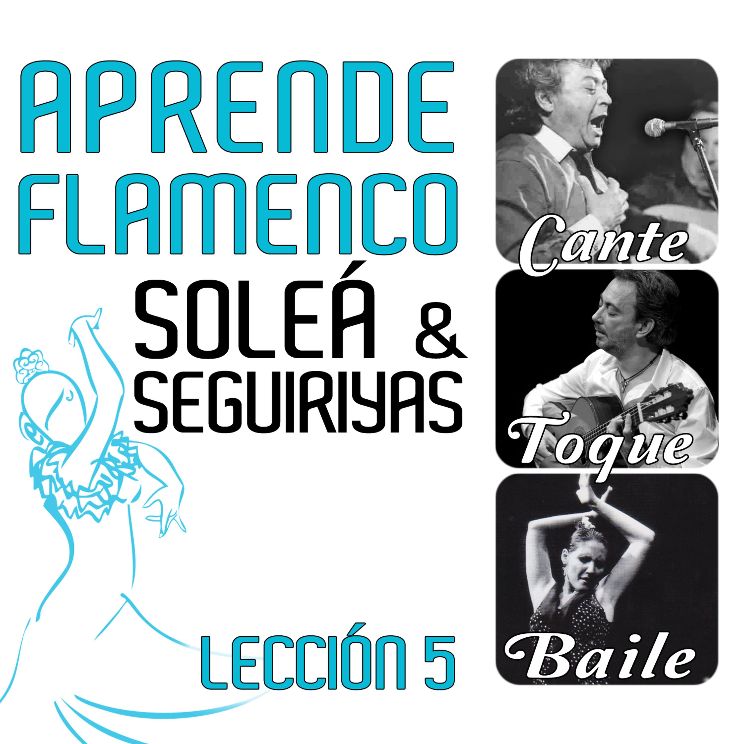 Постер альбома Aprende Flamenco. Soleá y Seguiriyas. Lección 5