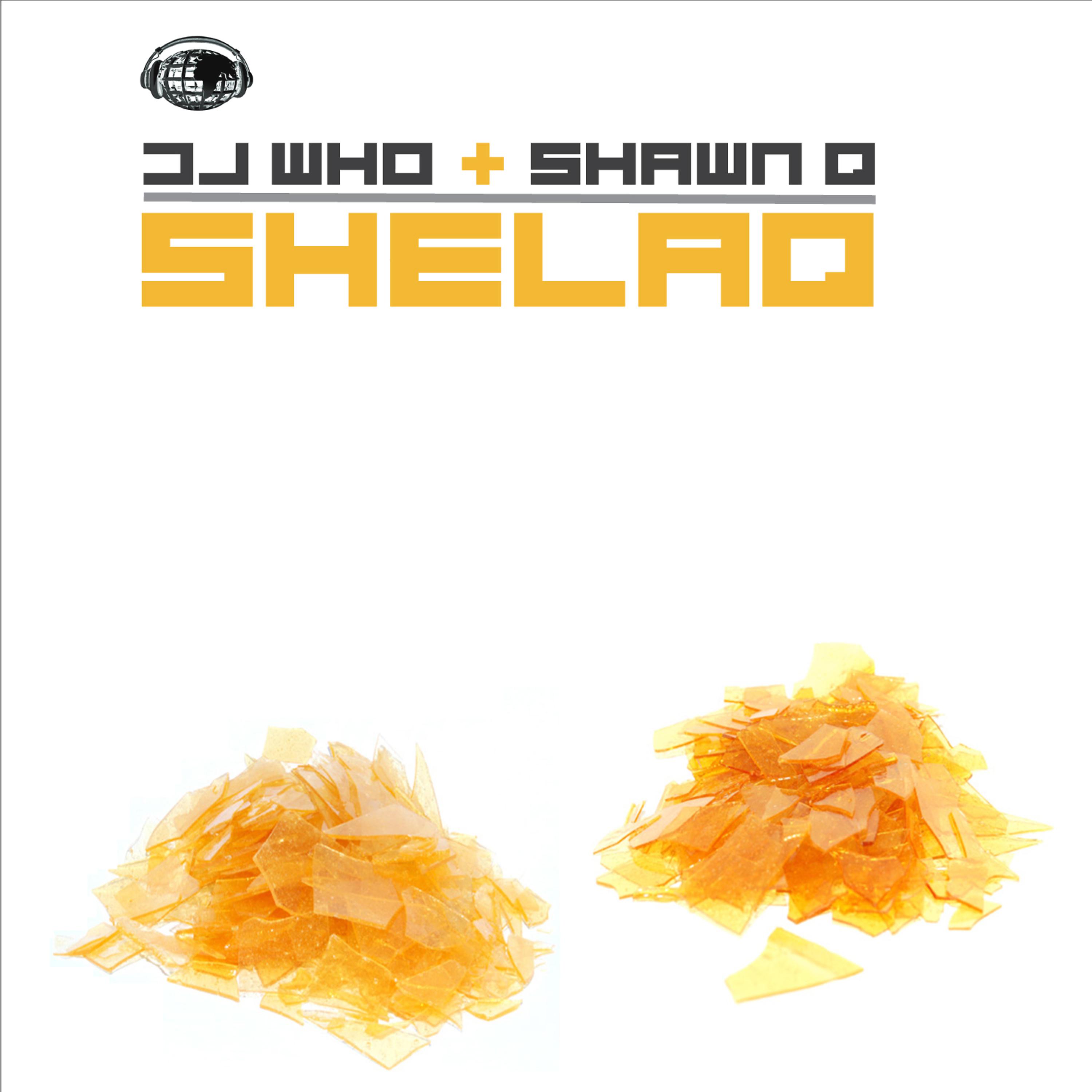 Постер альбома Shelaq