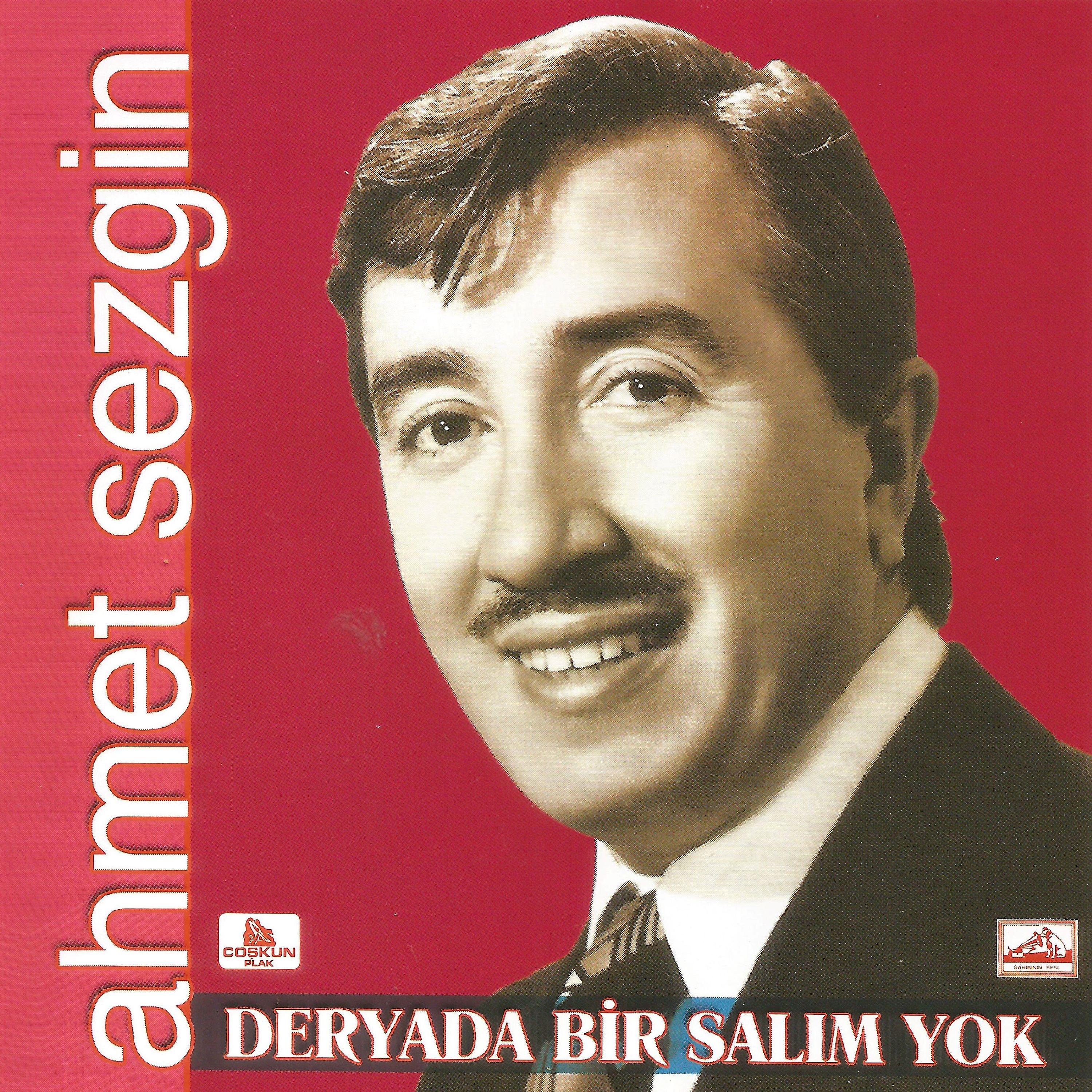 Постер альбома Deryada Bir Salım Yok