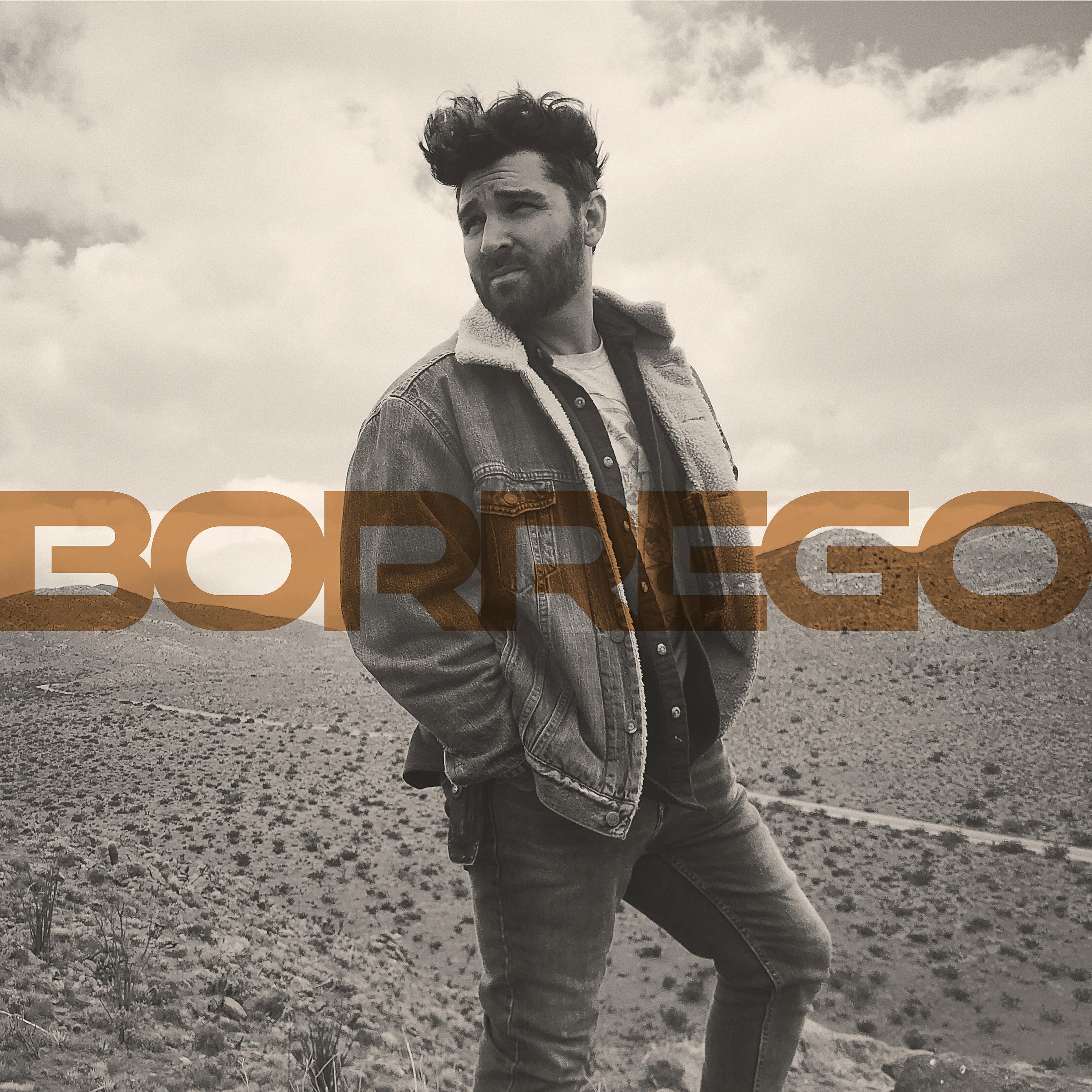 Постер альбома Borrego