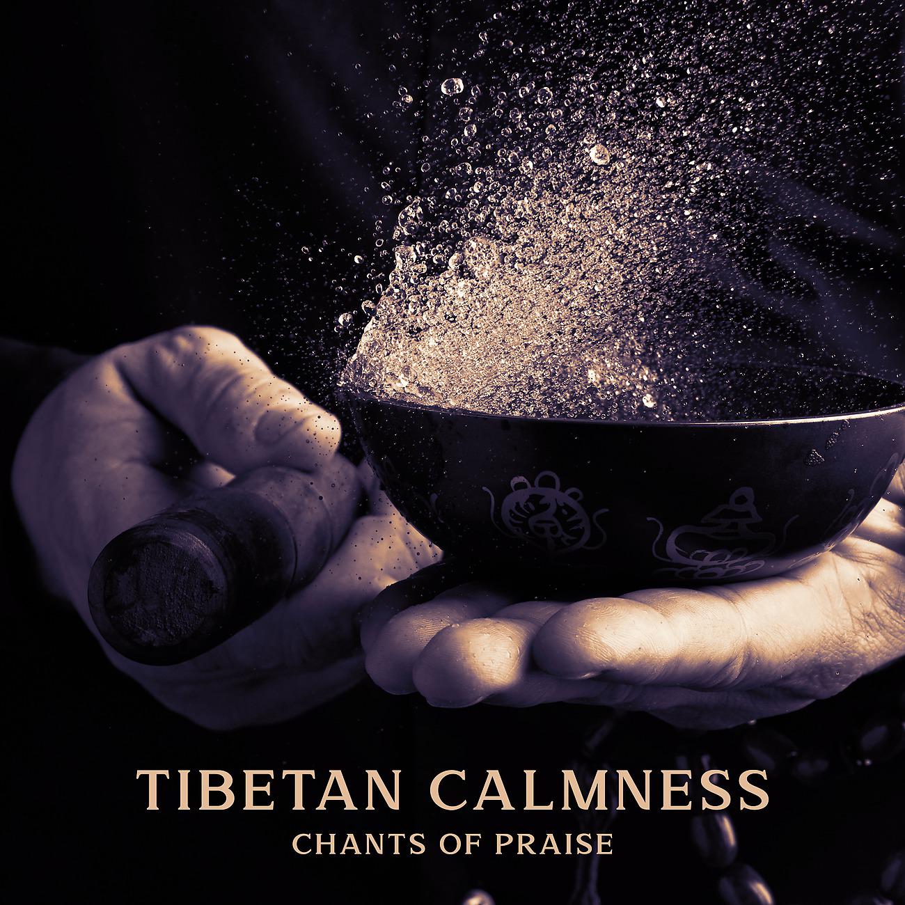 Постер альбома Tibetan Calmness