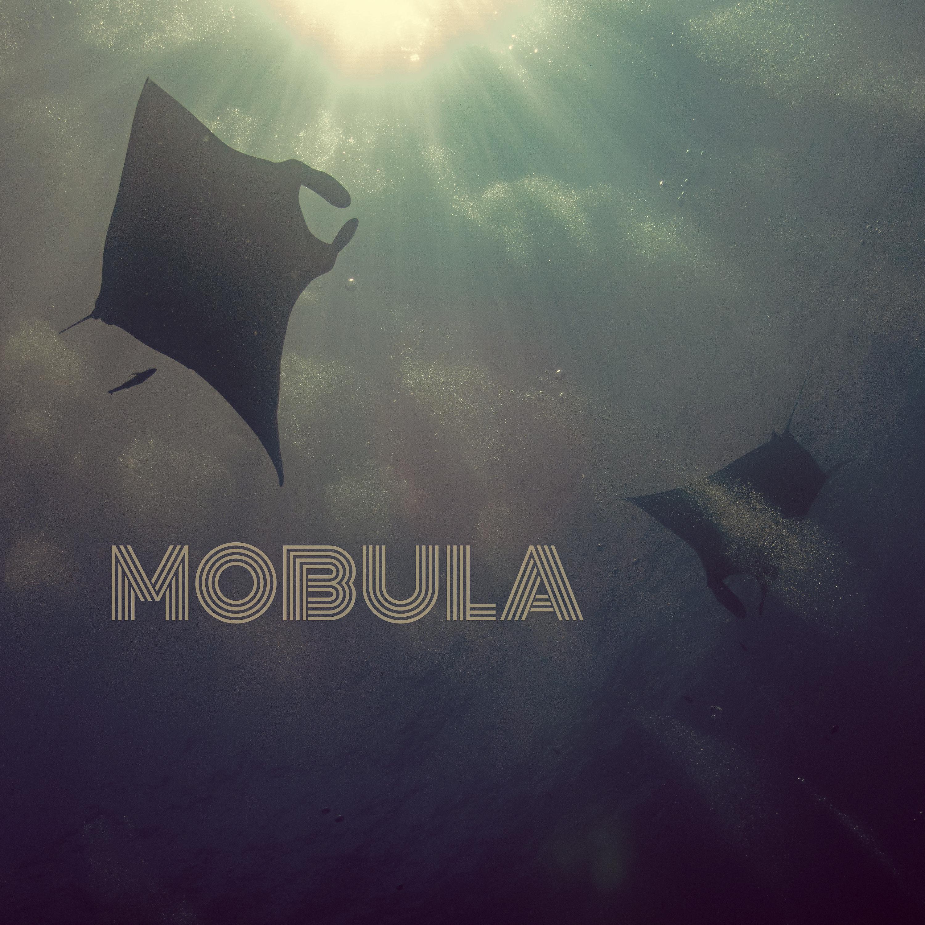 Постер альбома Mobula