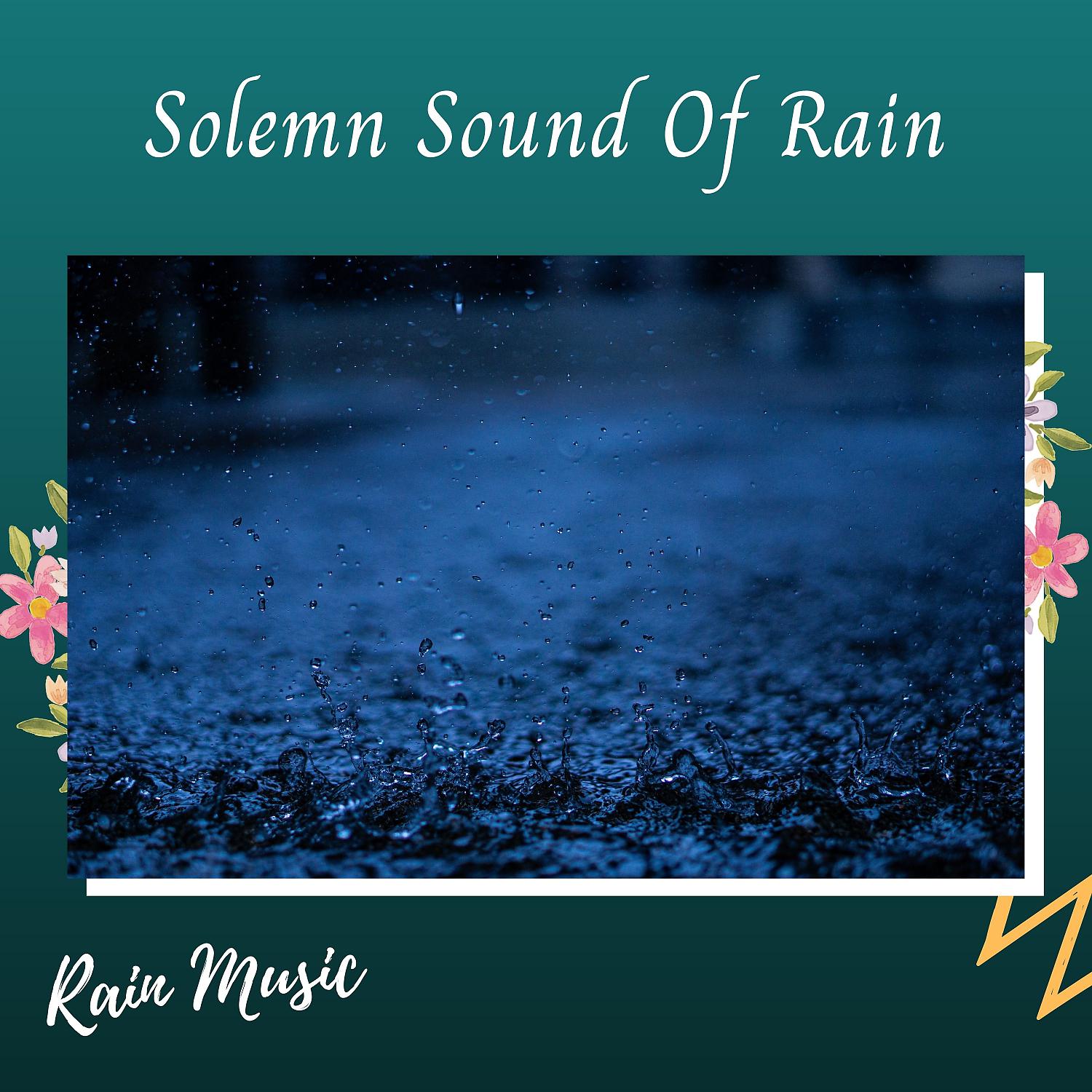 Постер альбома Rain Music: Solemn Sound Of Rain