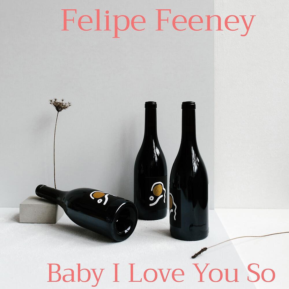 Felipe Feeney - Baby I Love You So
