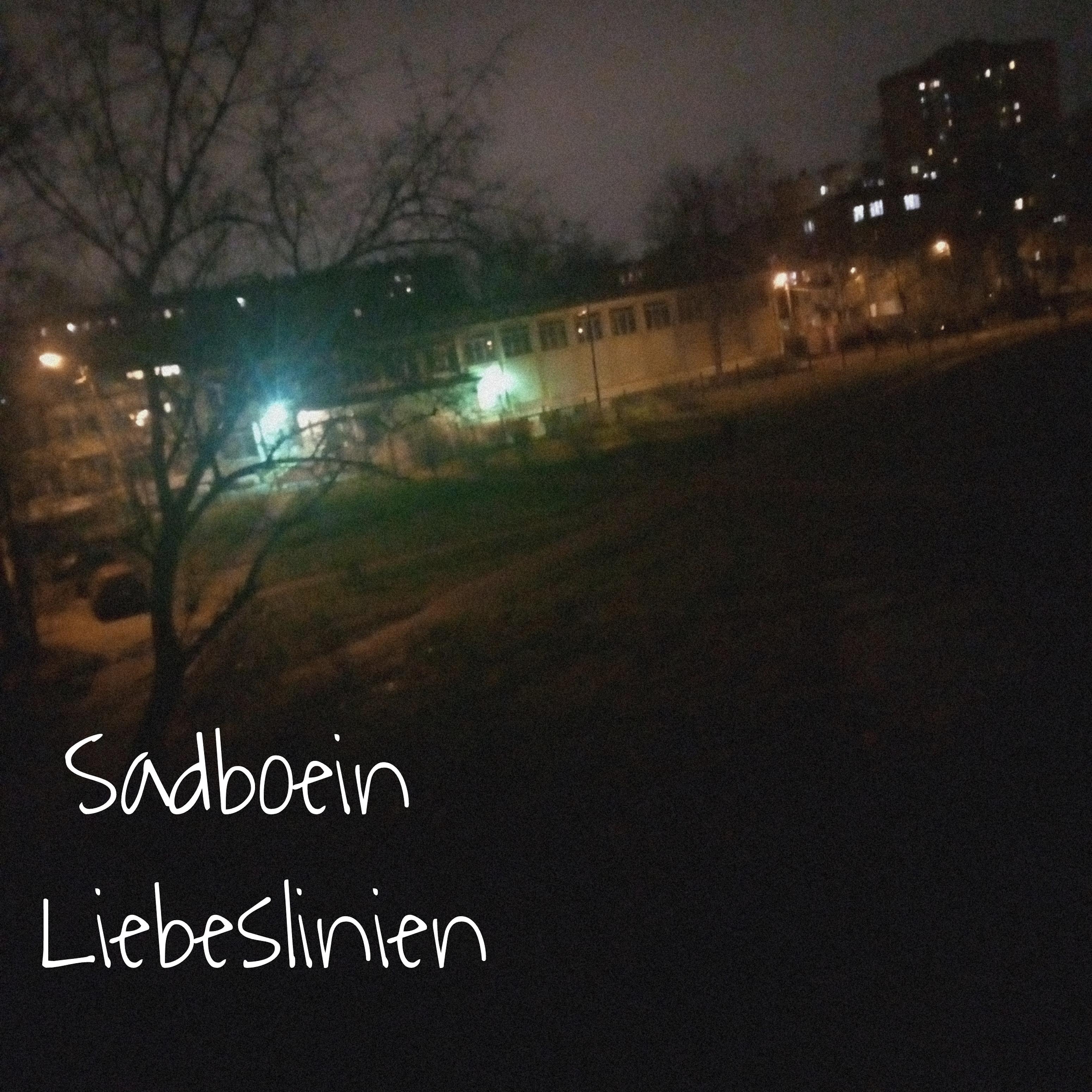 Постер альбома Liebeslinien