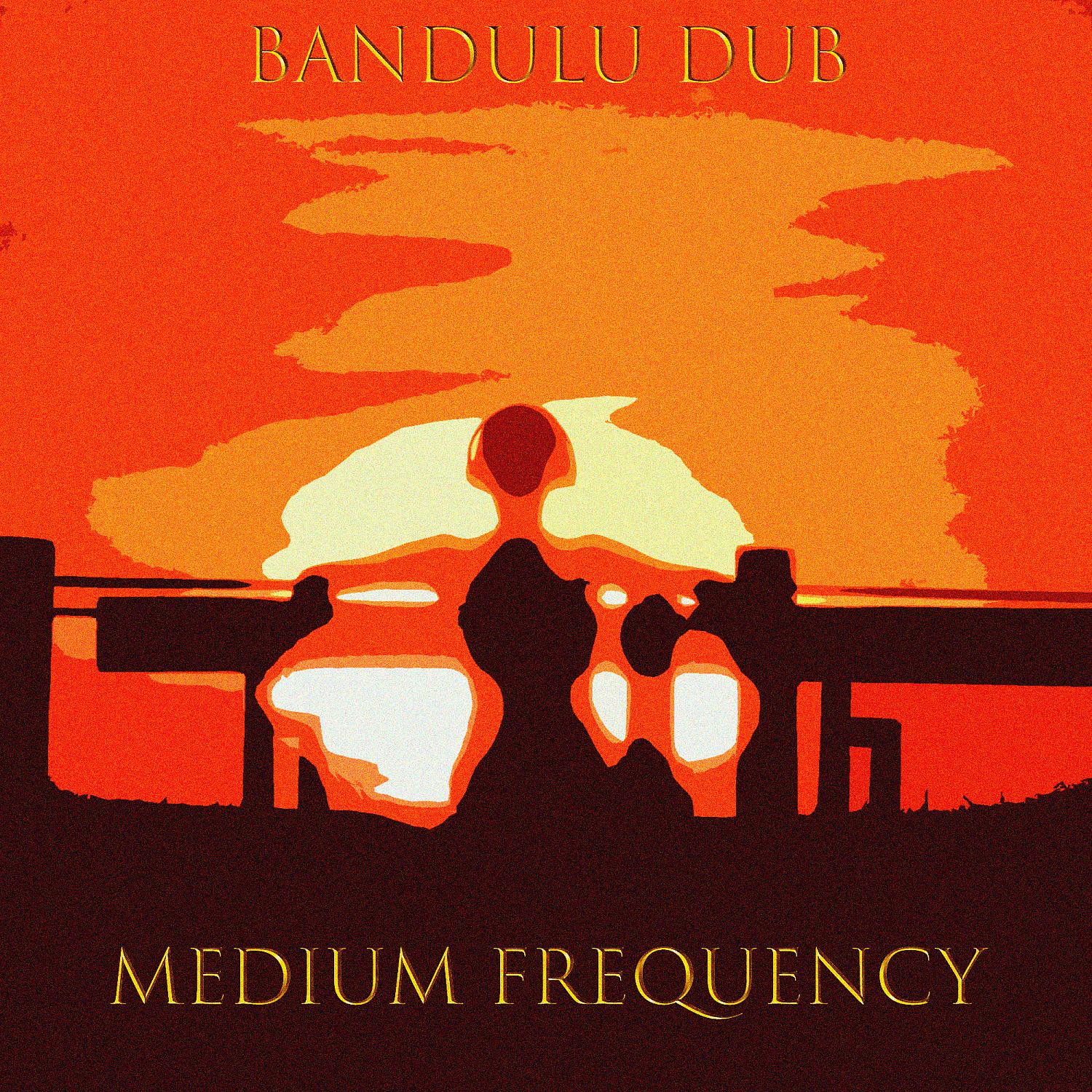 Постер альбома Medium Frequency