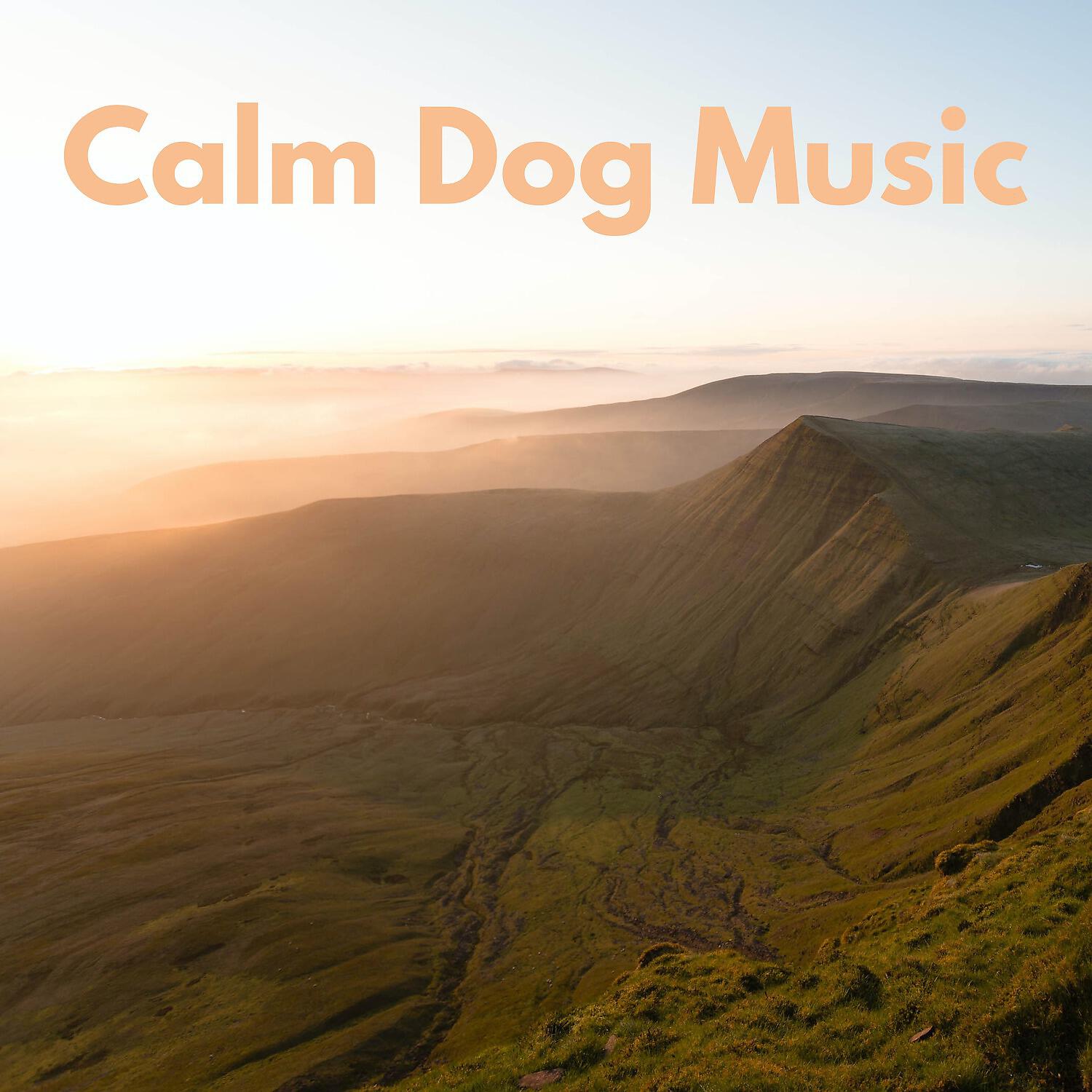 Soothing Dog Sounds - Almighty