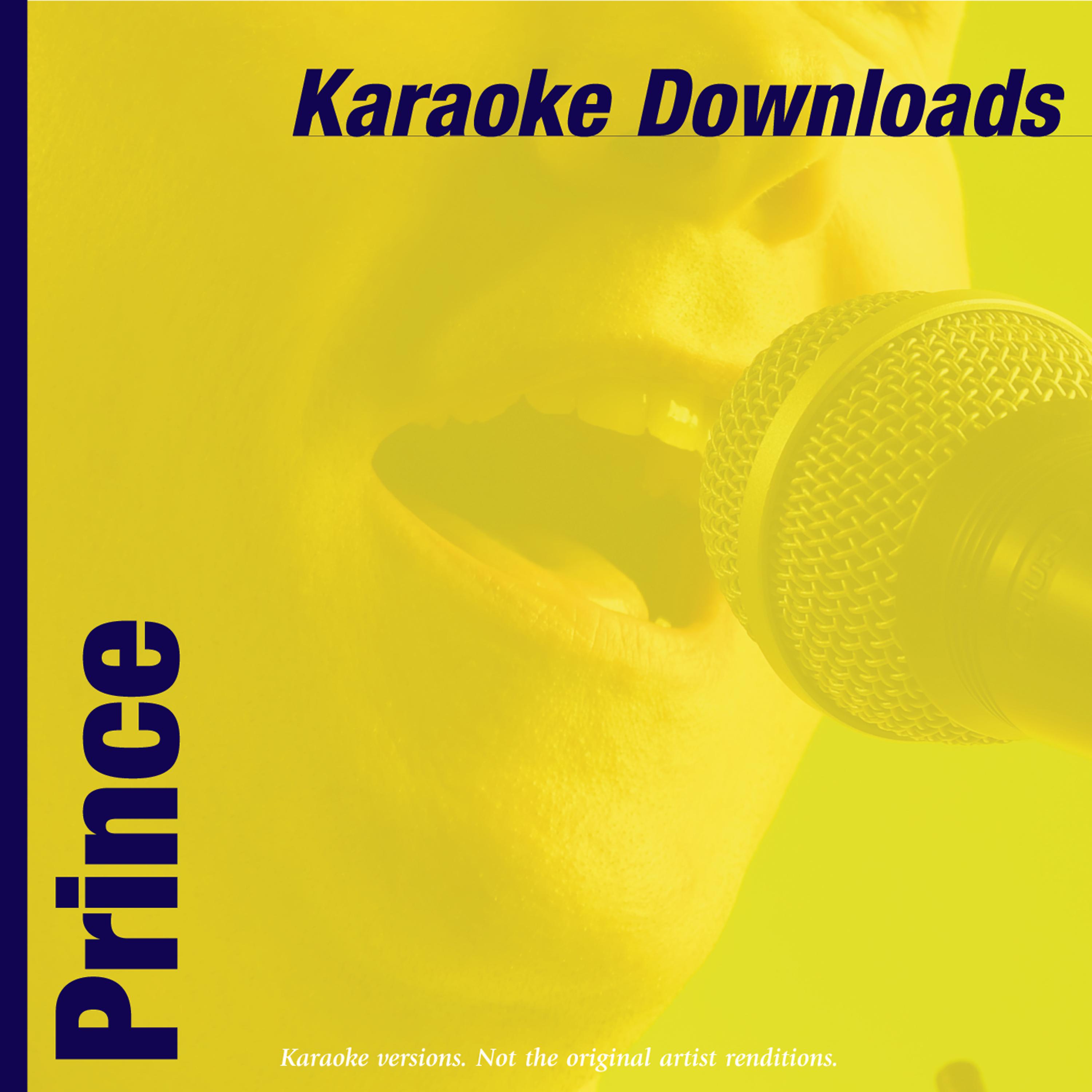 Постер альбома Karaoke Downloads - Prince
