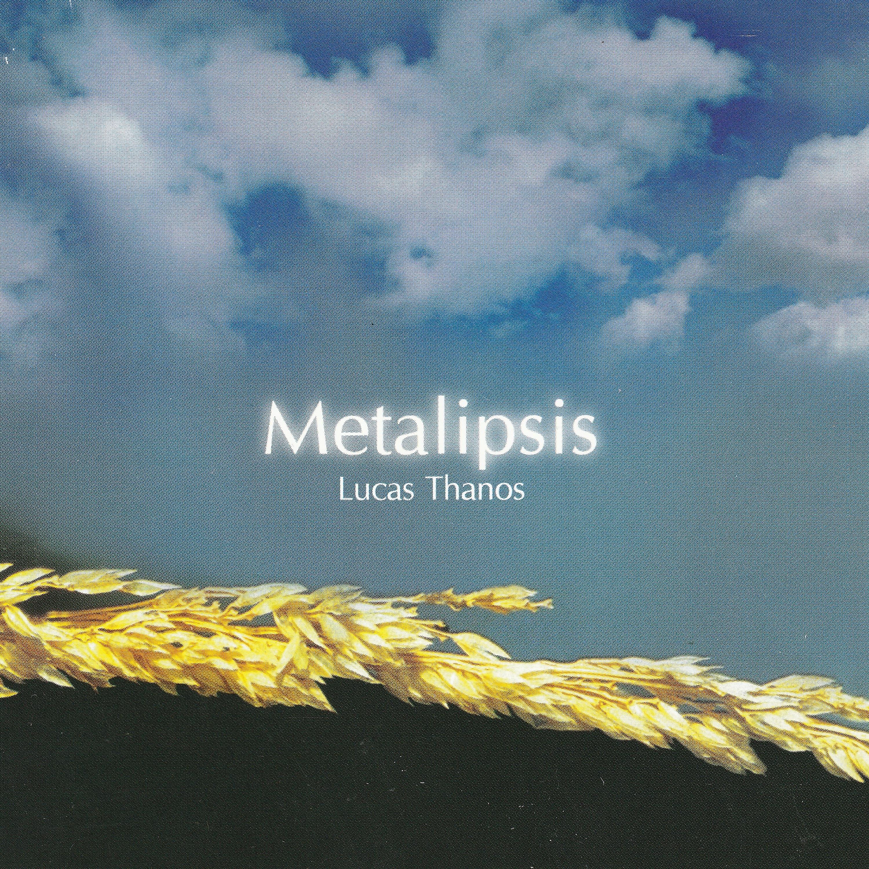 Постер альбома Metalipsis