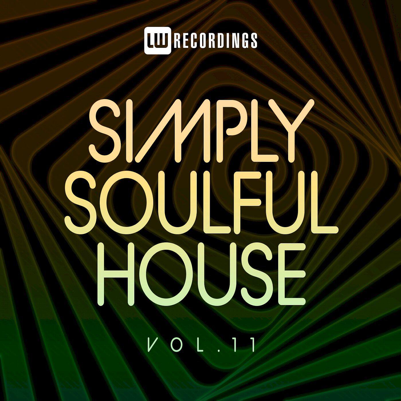 Dr. Basement - 100 Procent (Adam Sommer Soulful House Remix)