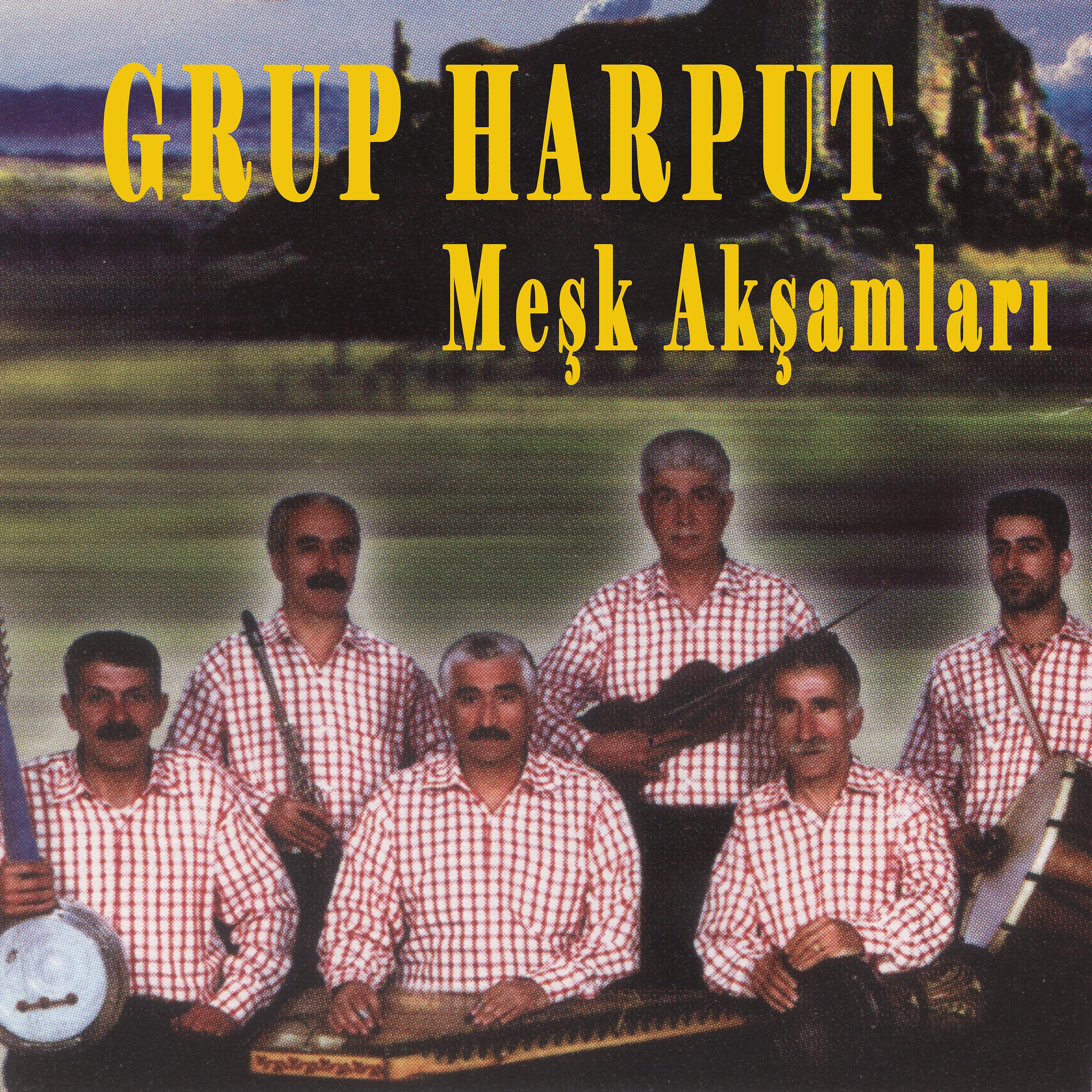 Постер альбома Meşk Akşamları