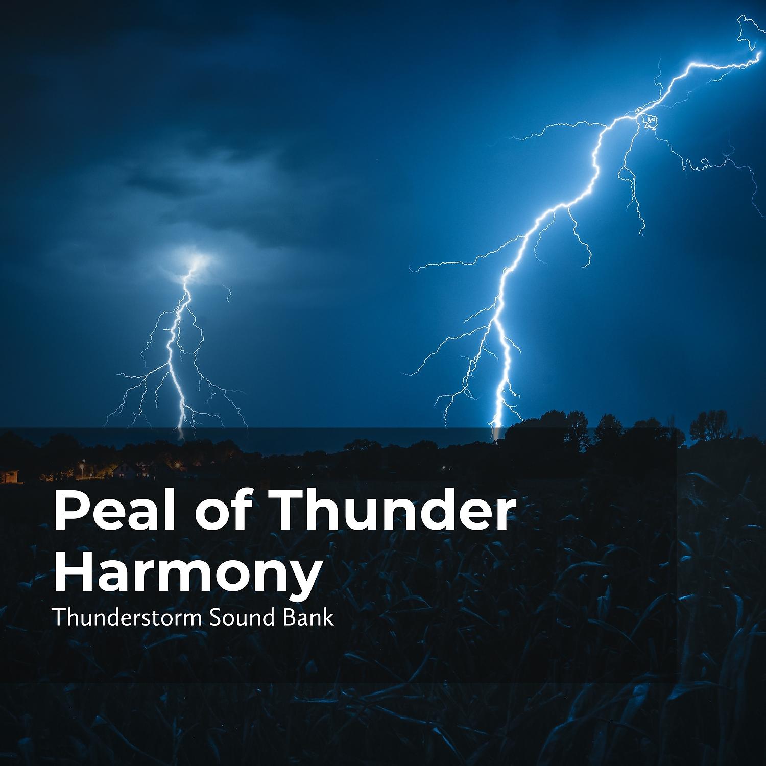 Постер альбома Peal of Thunder Harmony
