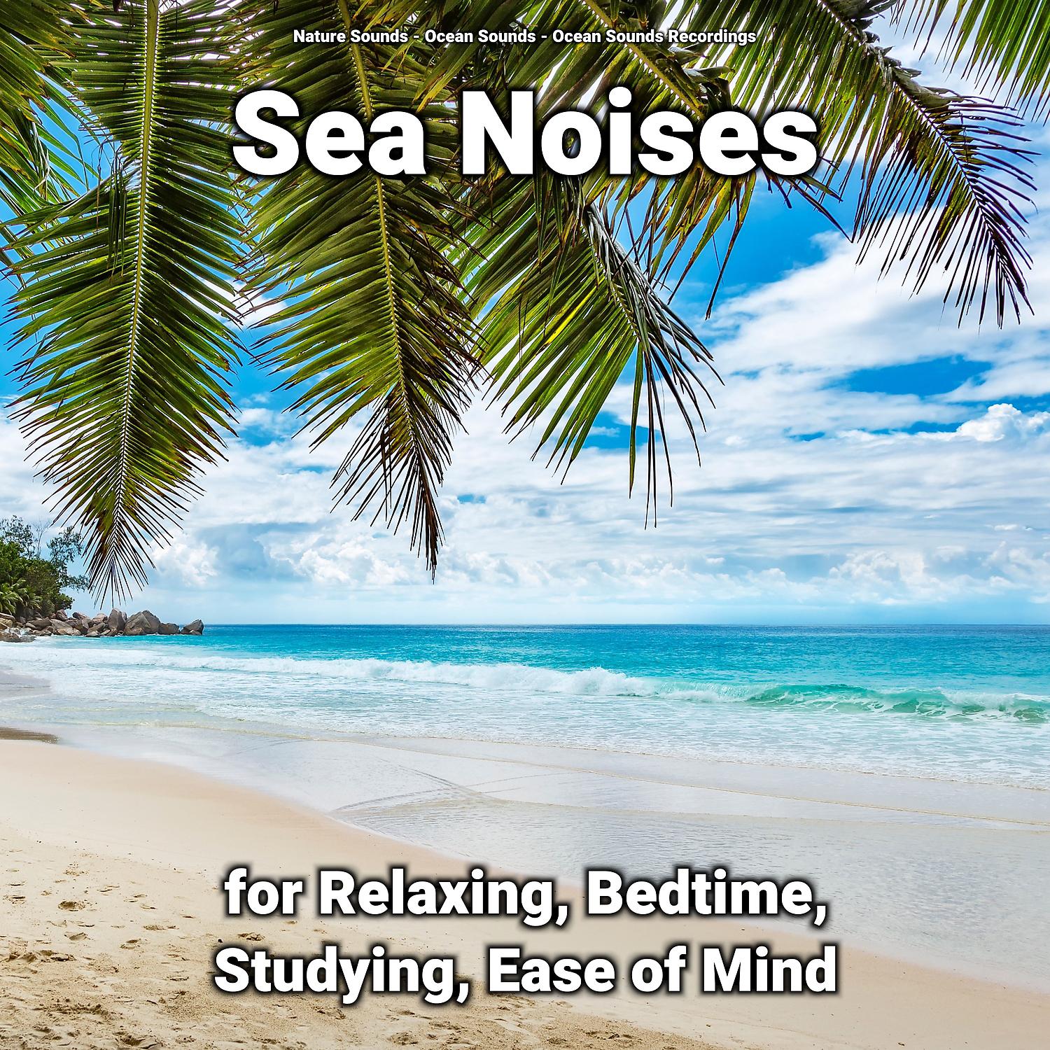 Постер альбома Sea Noises for Relaxing, Bedtime, Studying, Ease of Mind