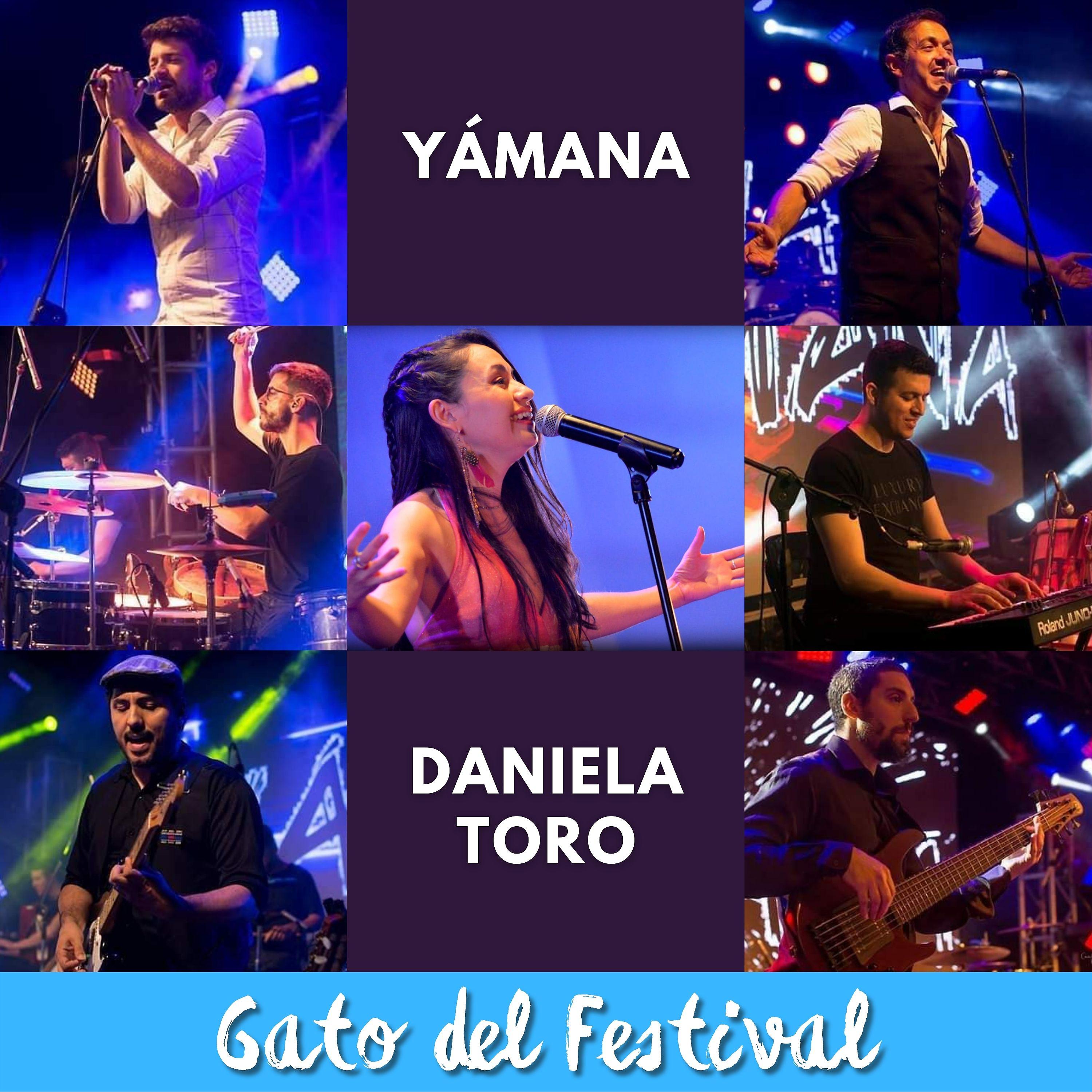 Постер альбома Gato del Festival
