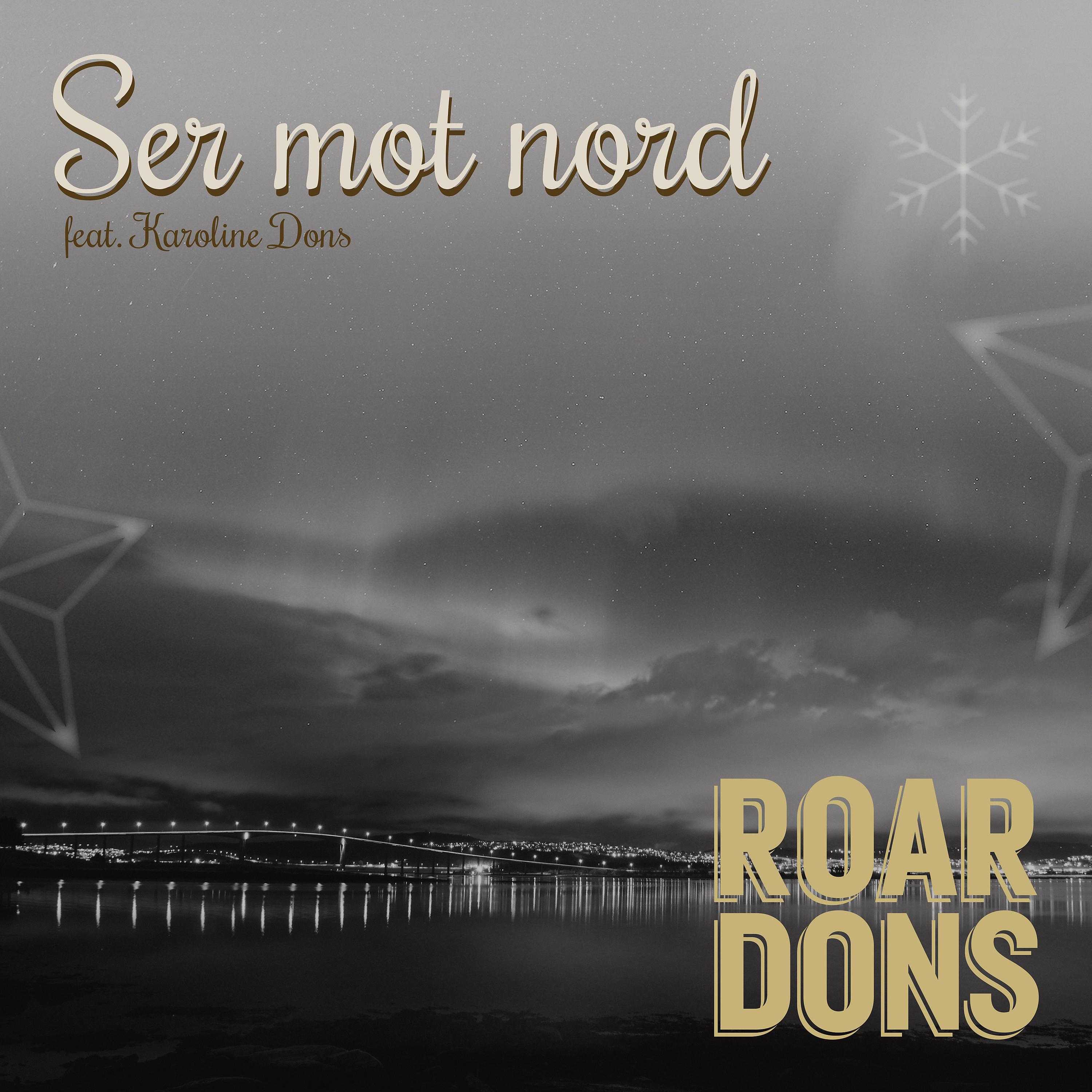 Постер альбома Ser mot nord