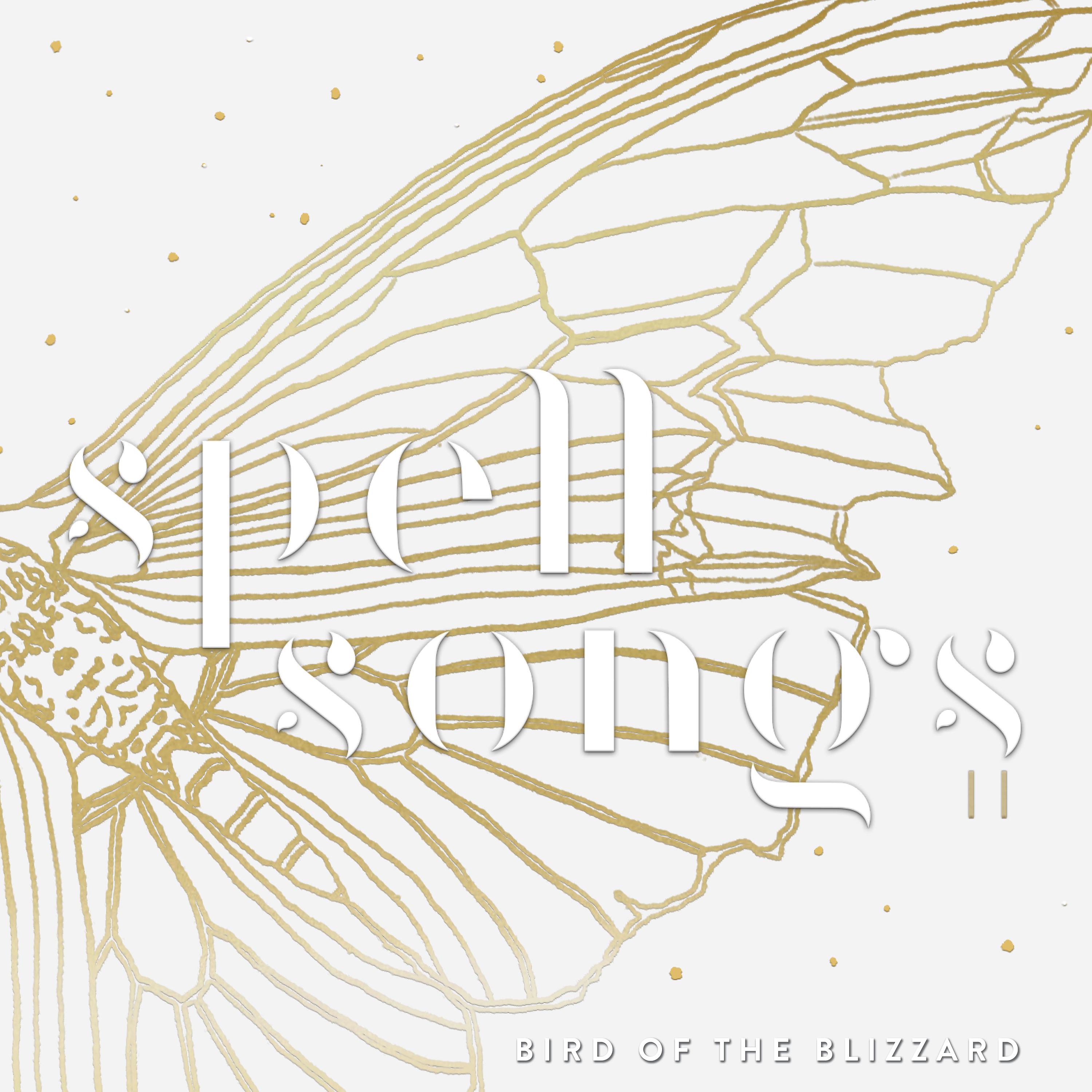 Постер альбома Bird of the Blizzard