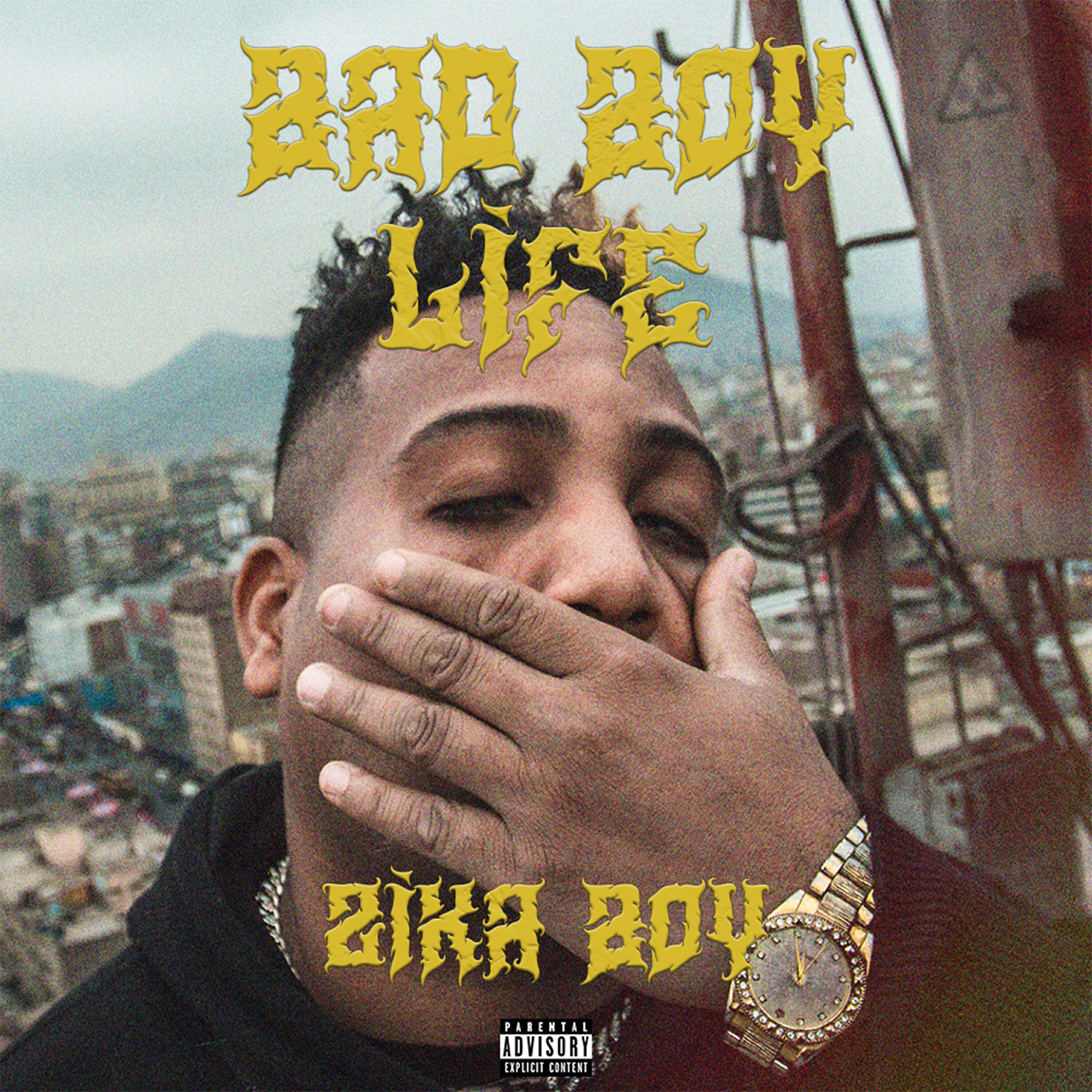 Zika Boy - Me Fallaste