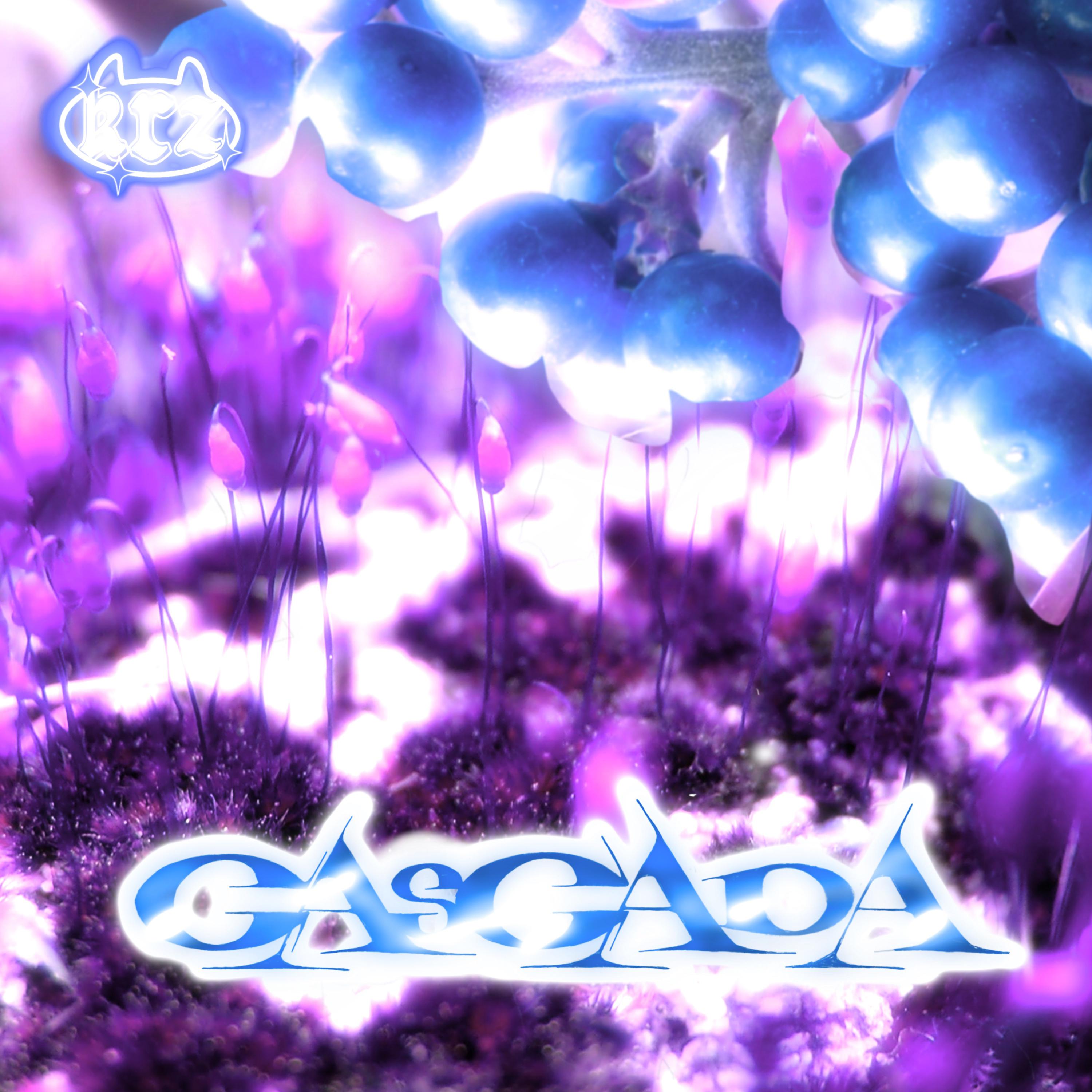 Постер альбома Cascada