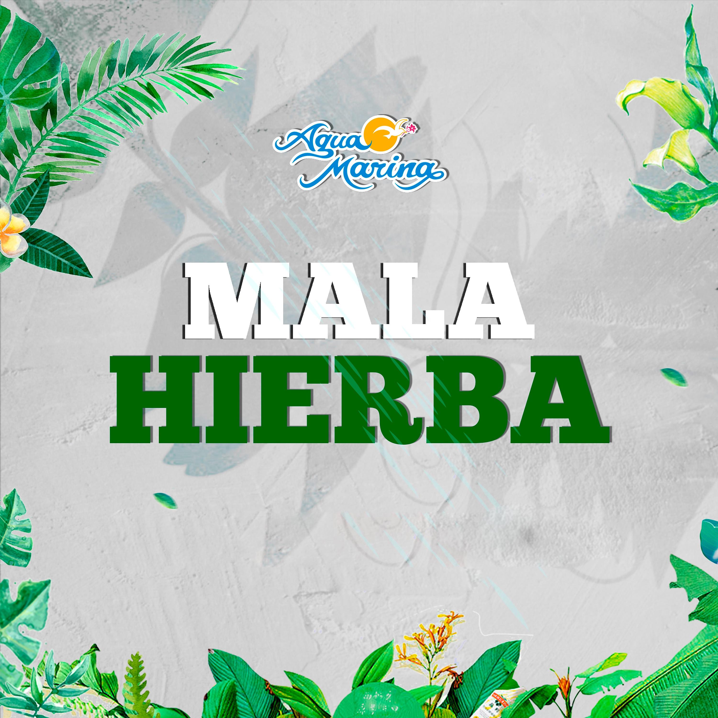 Постер альбома Mala Hierba