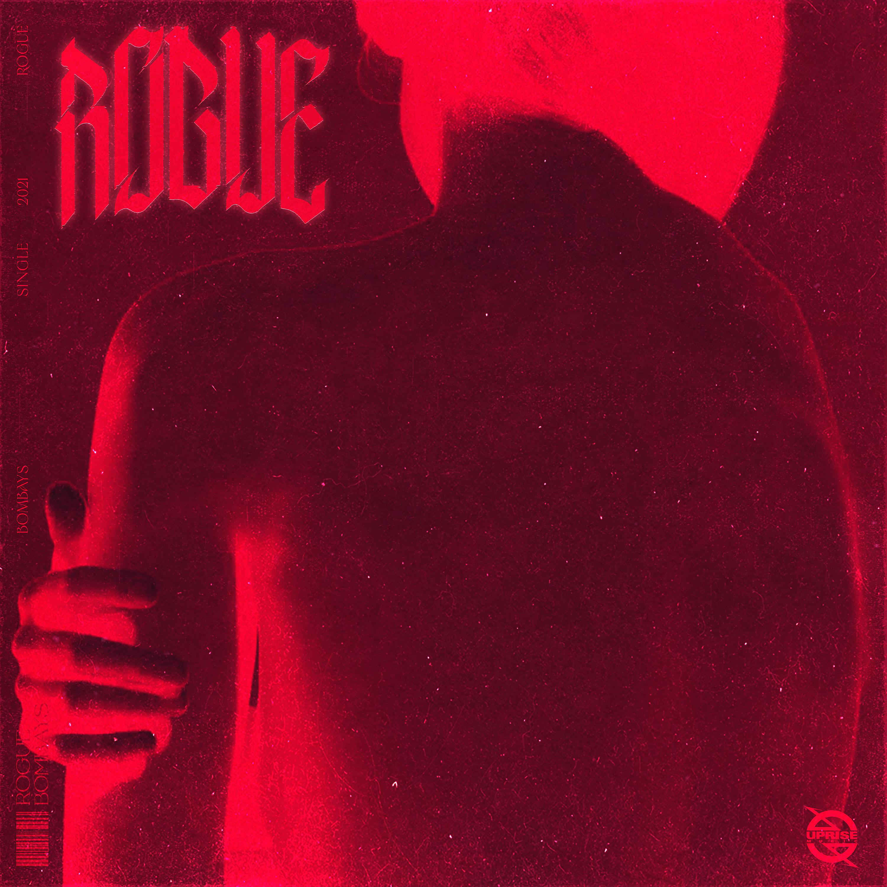 Постер альбома ROGUE