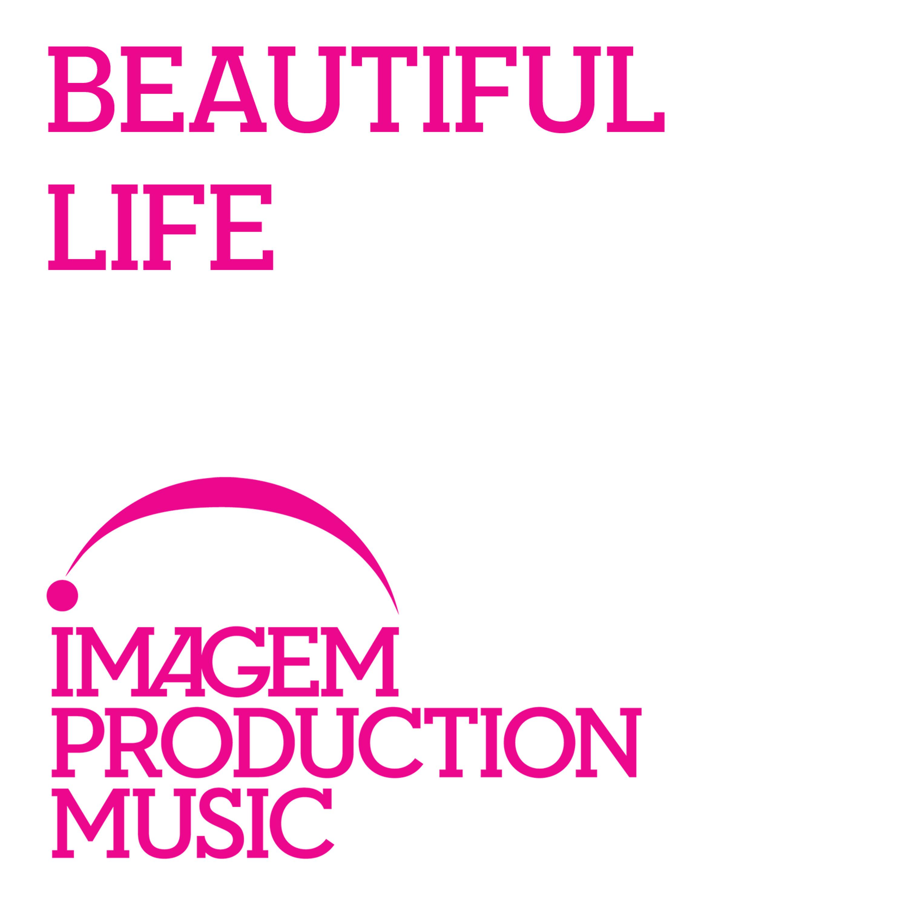 Постер альбома Beautiful Life: Relaxation Music