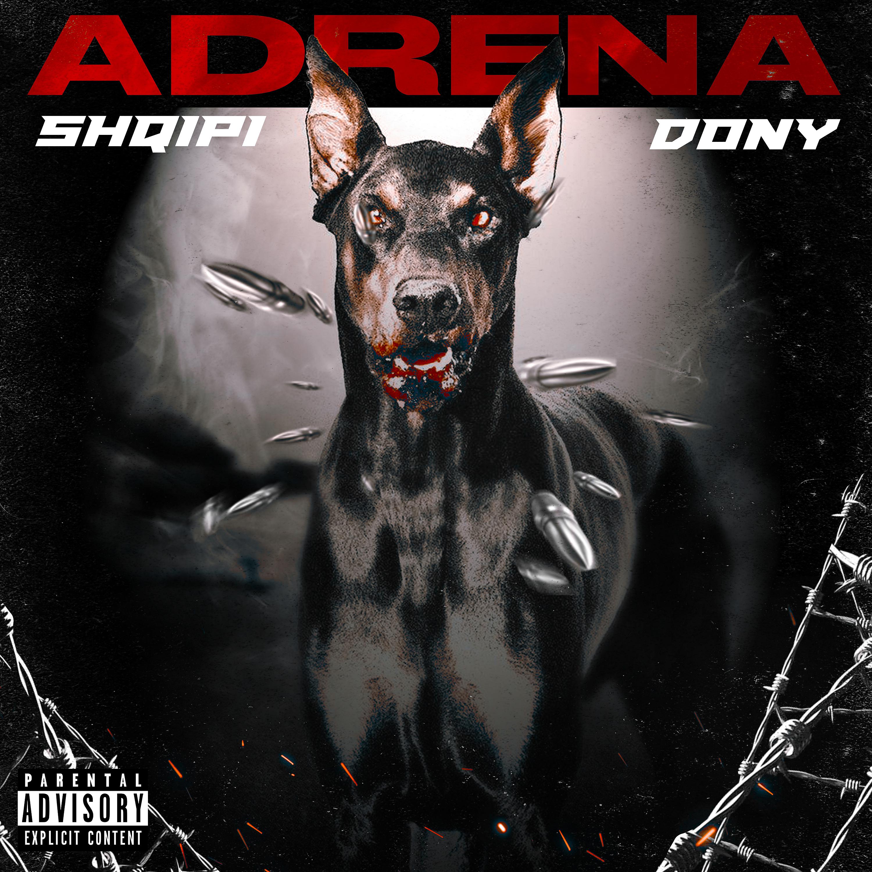 Постер альбома Adrena