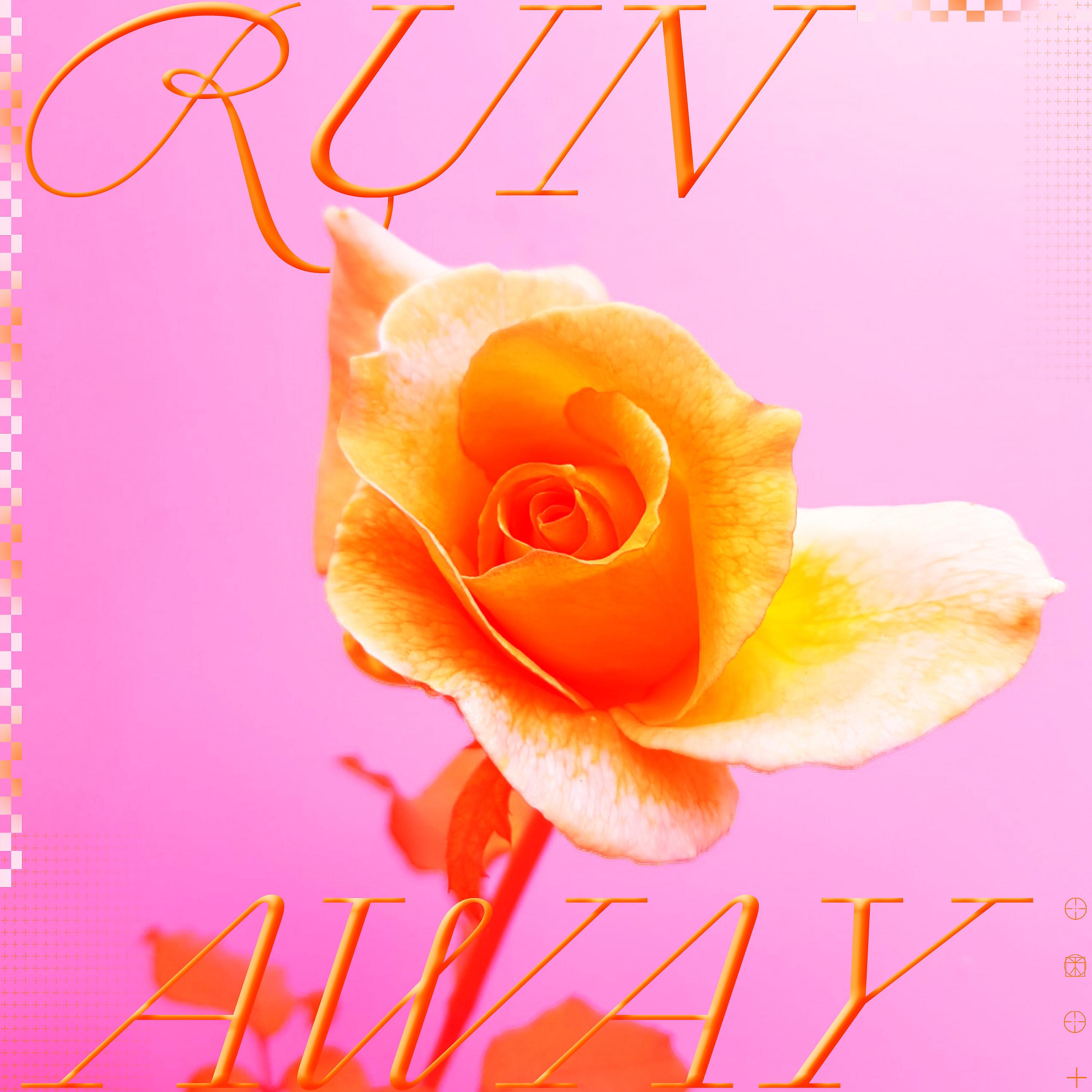 Постер альбома Runaway (Plant Operator Remix)