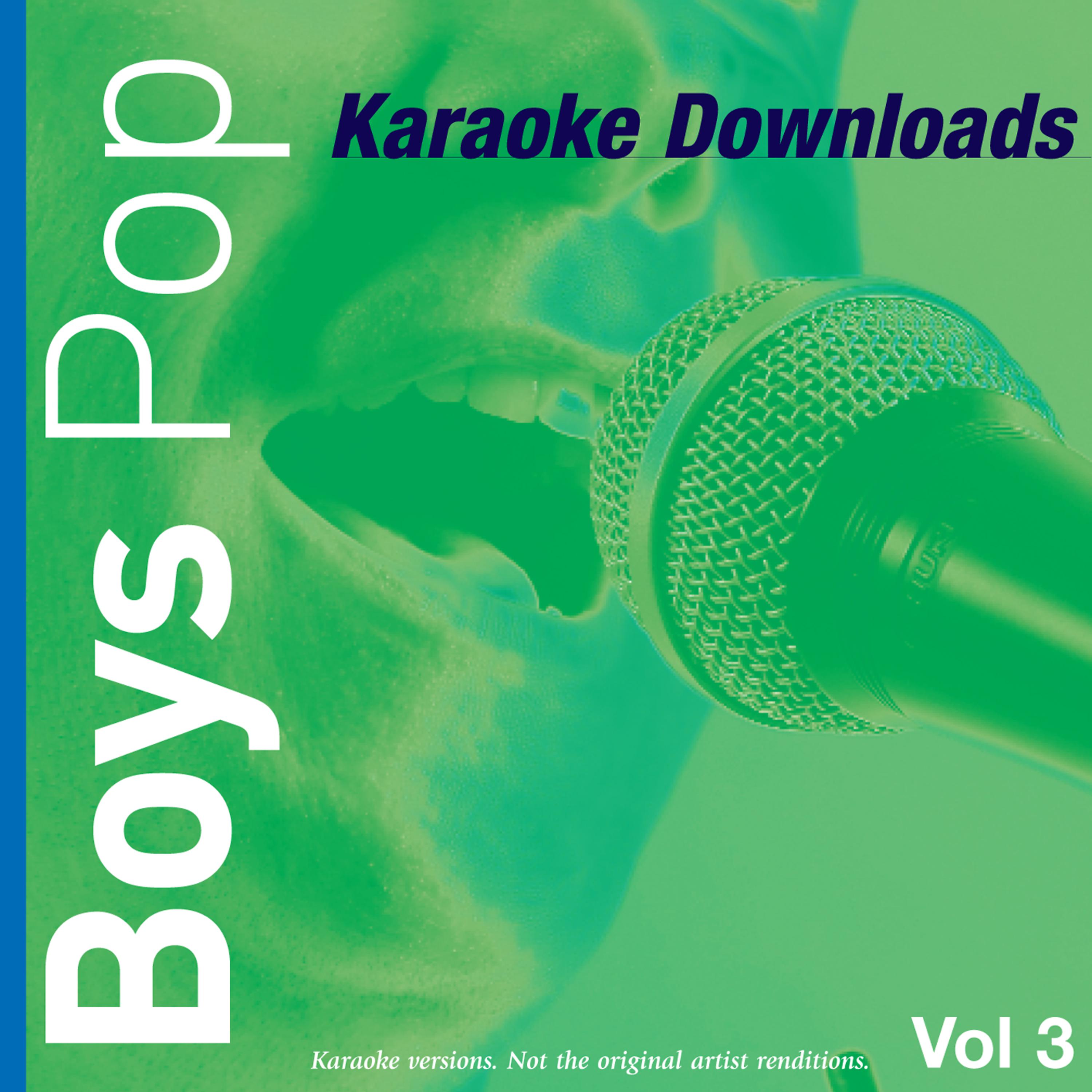 Постер альбома Karaoke Downloads - Boys Pop Vol.3