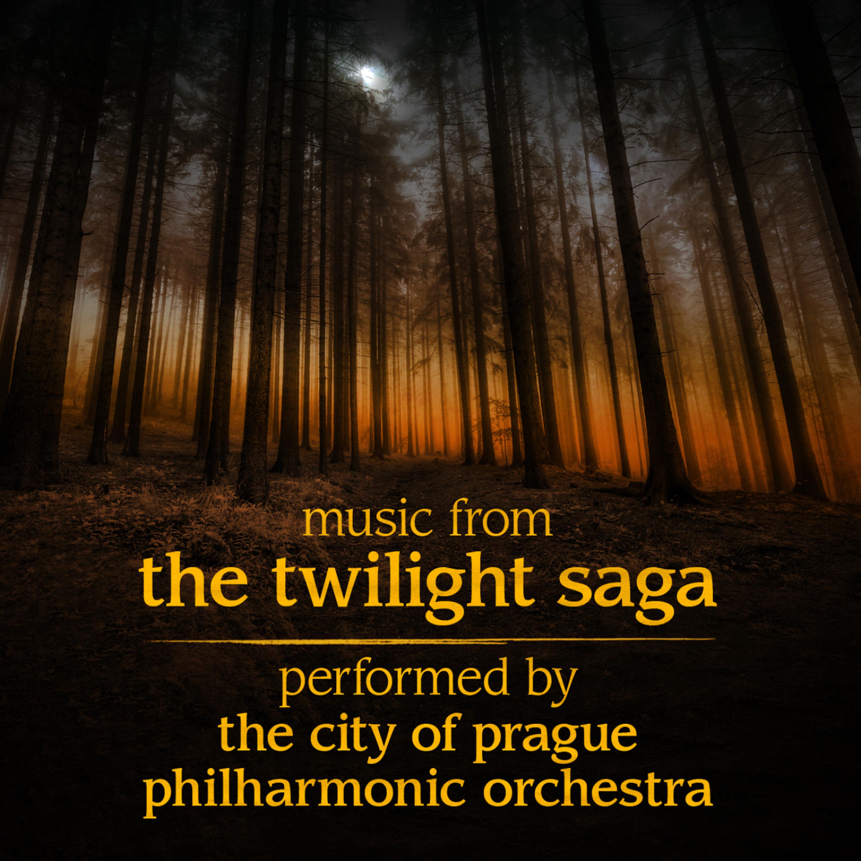 Постер альбома Music From The Twilight Saga