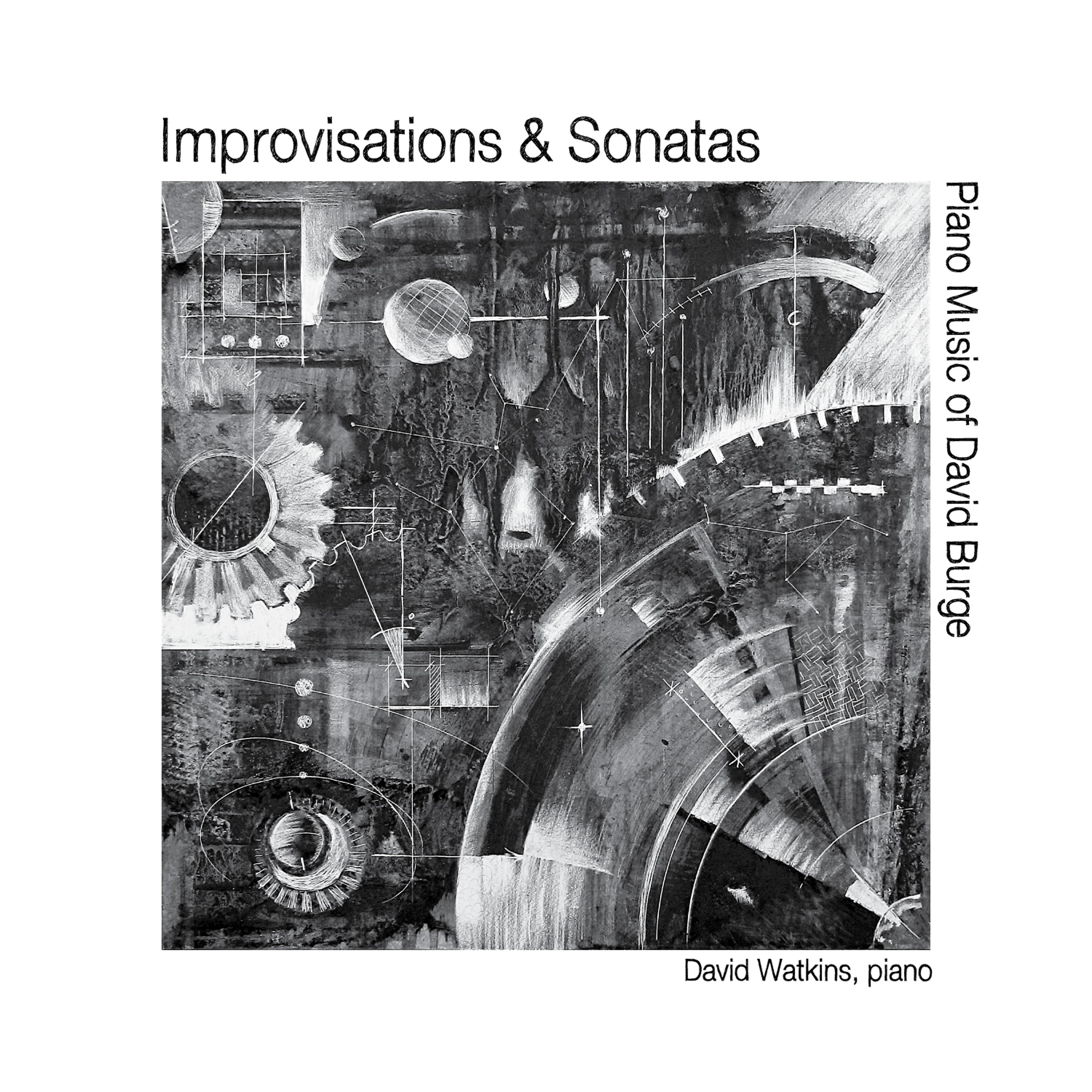 Постер альбома Improvisations & Sonatas: Piano Music of David Burge