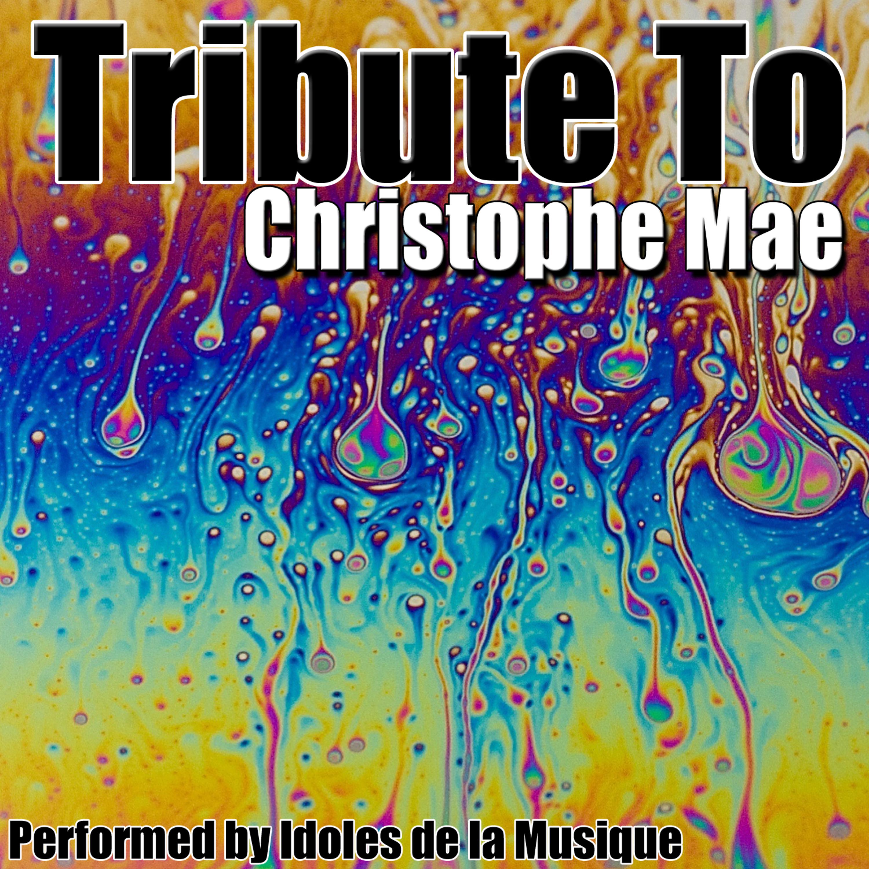 Постер альбома Tribute To Christophe Mae