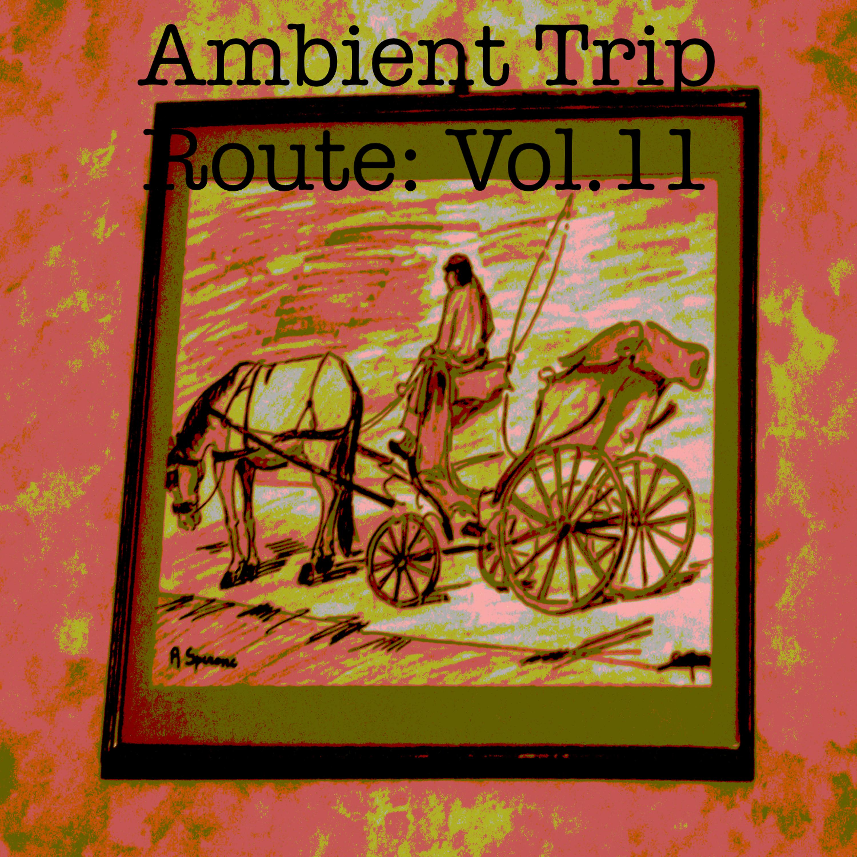 Постер альбома Ambient Trip Route: Vol.11