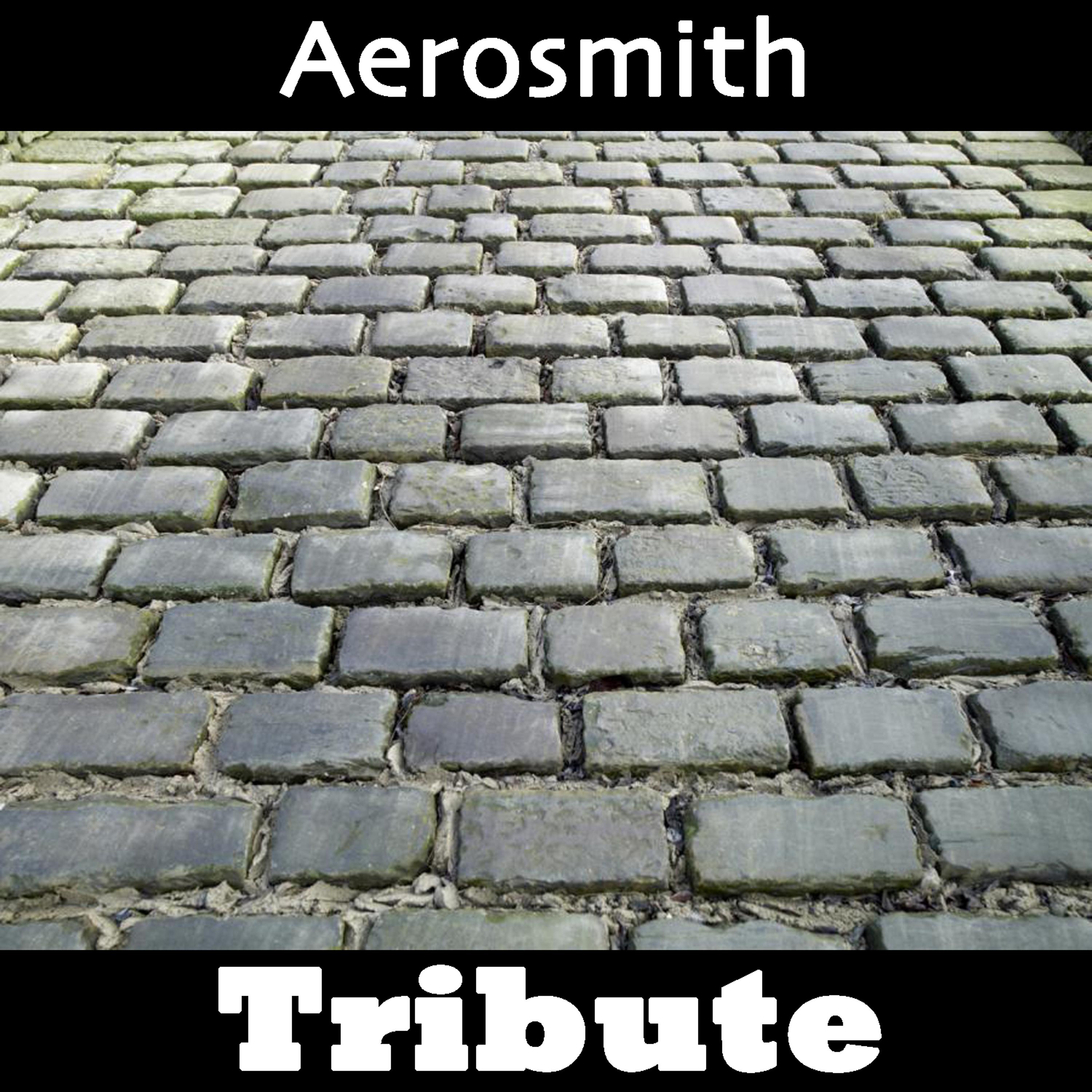 Постер альбома Dream On: Tribute To Aerosmith