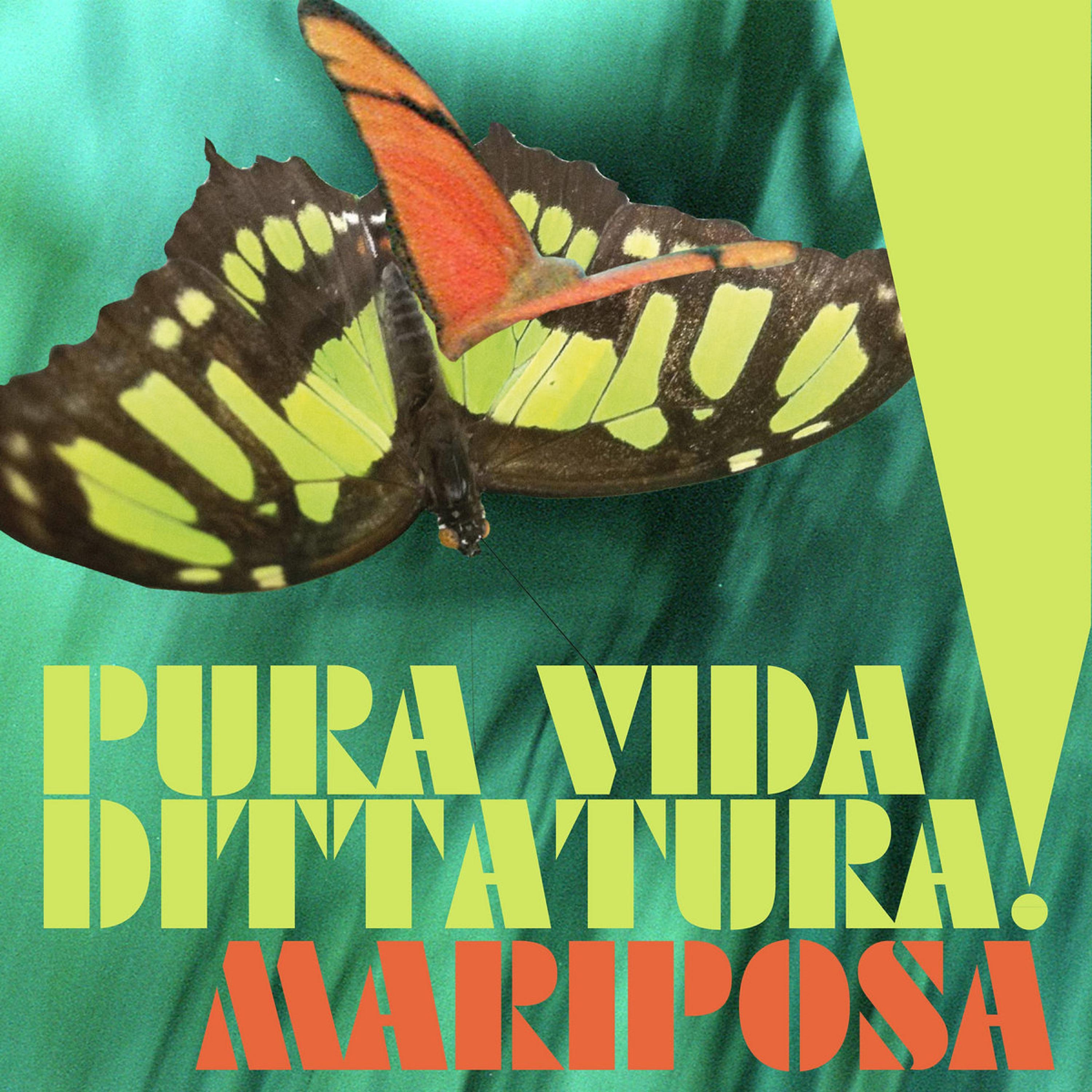 Постер альбома Pura Vida, Dittatura!