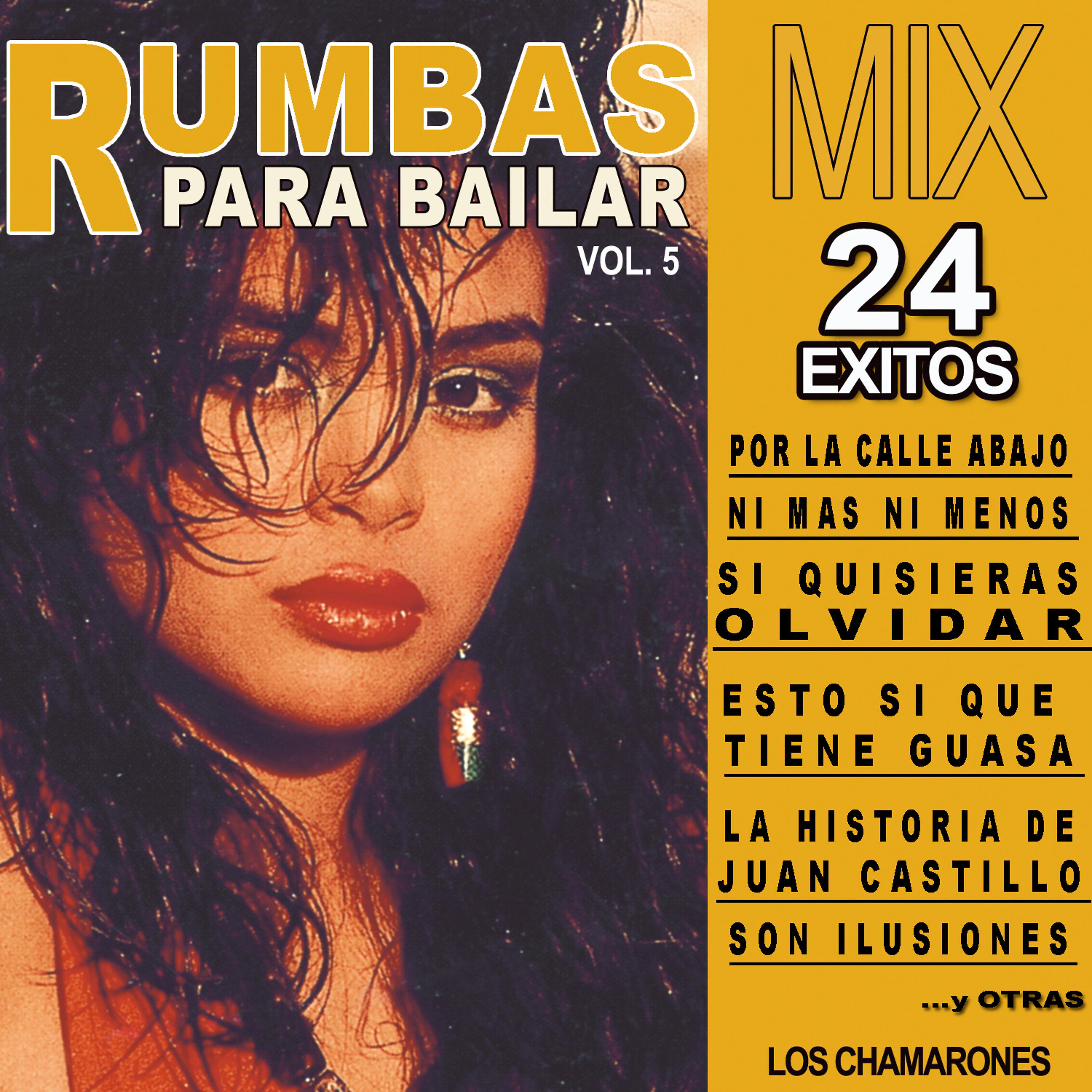 Постер альбома 24 Rumbas Para Bailar Mix. Volumen 5