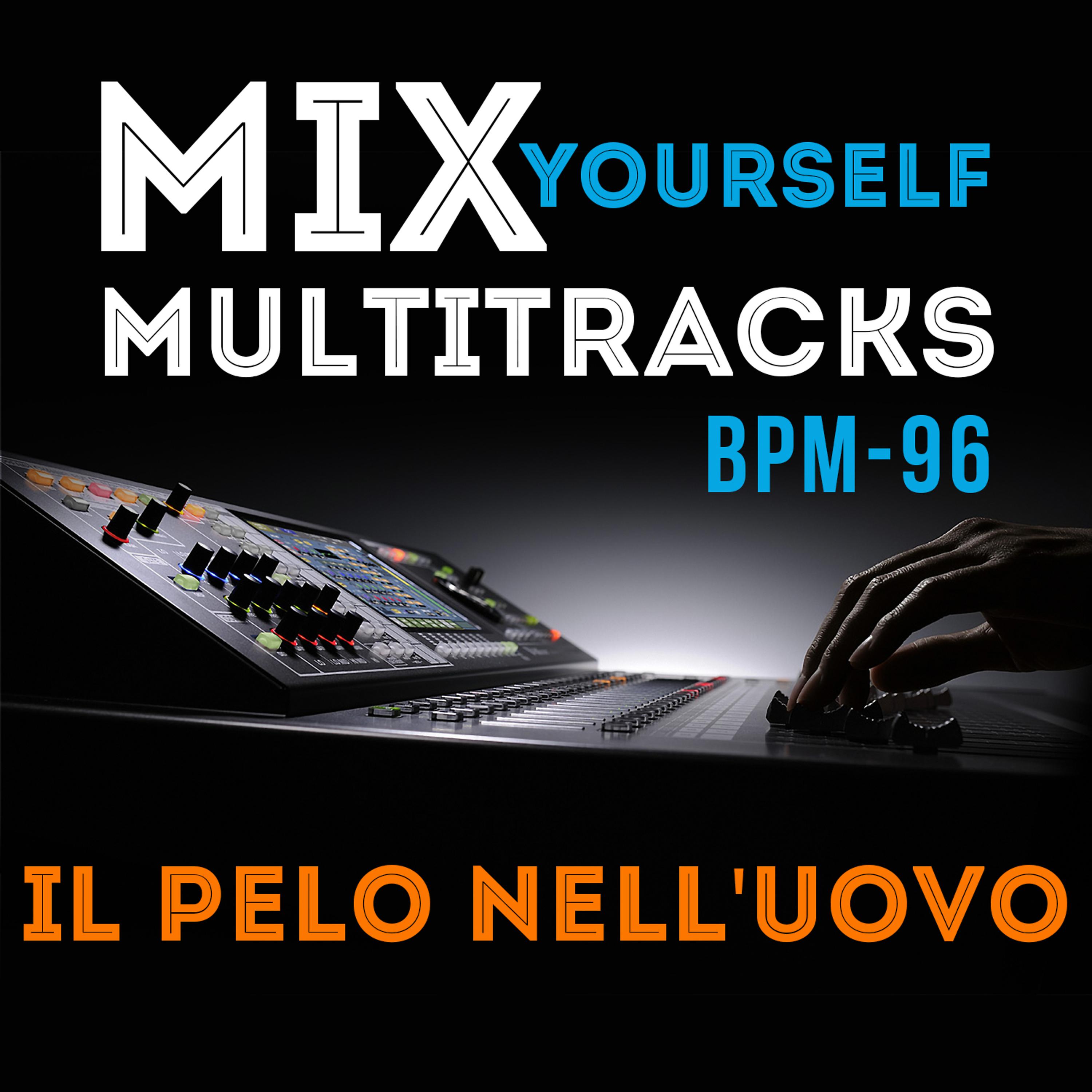Постер альбома Mix Yourself Multitracks - Il pelo nell'uovo (Bpm-96)