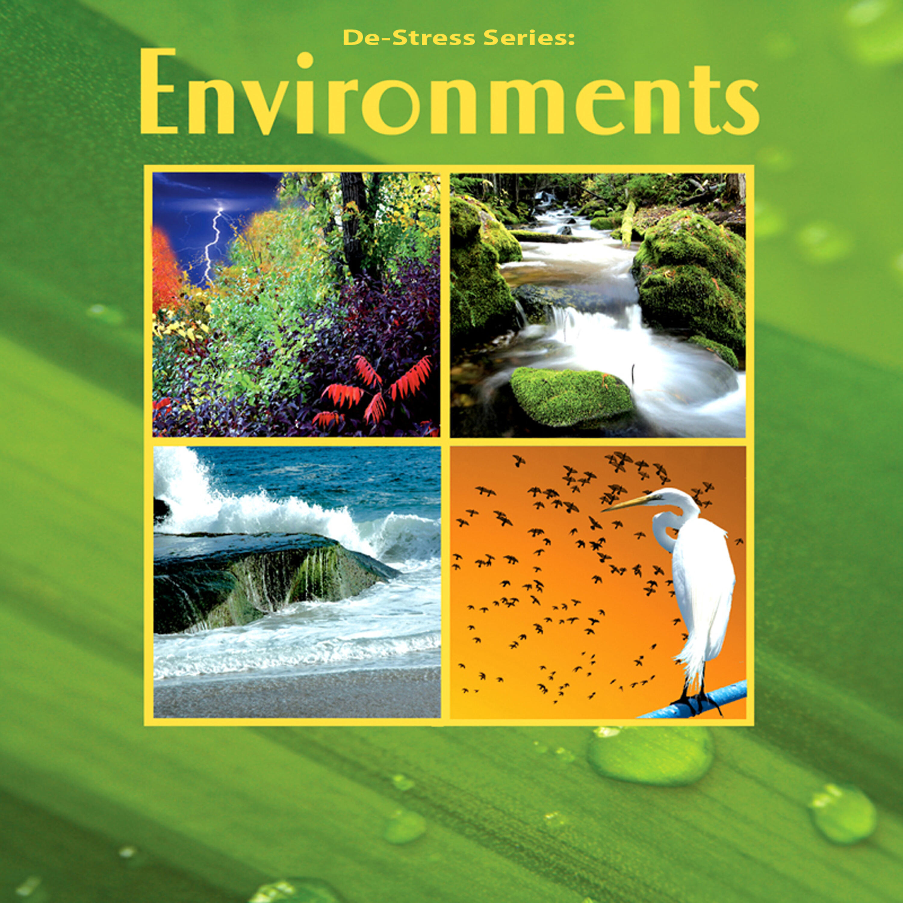 PM The New Eco Environment Ensemble - Environments