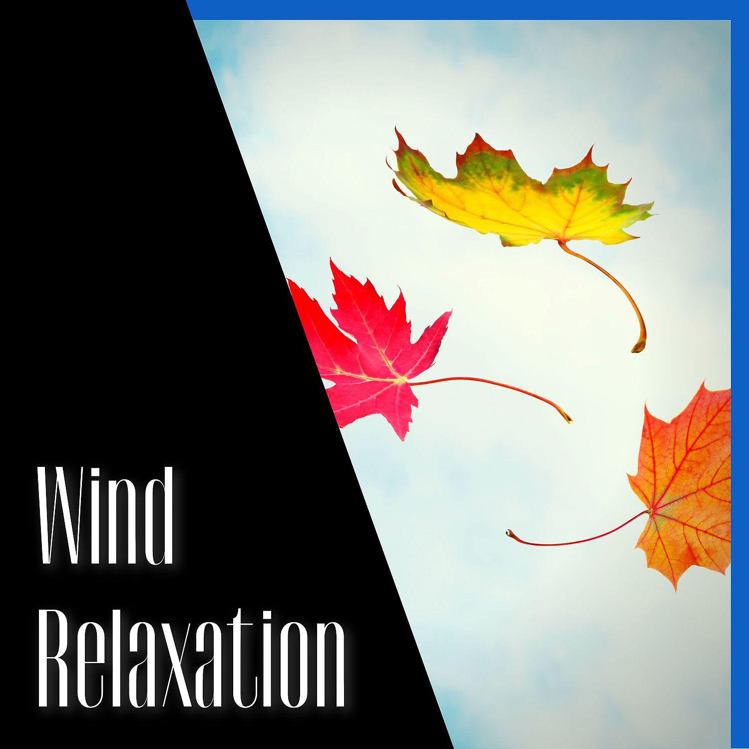 Постер альбома Wind Relaxation, White Noise
