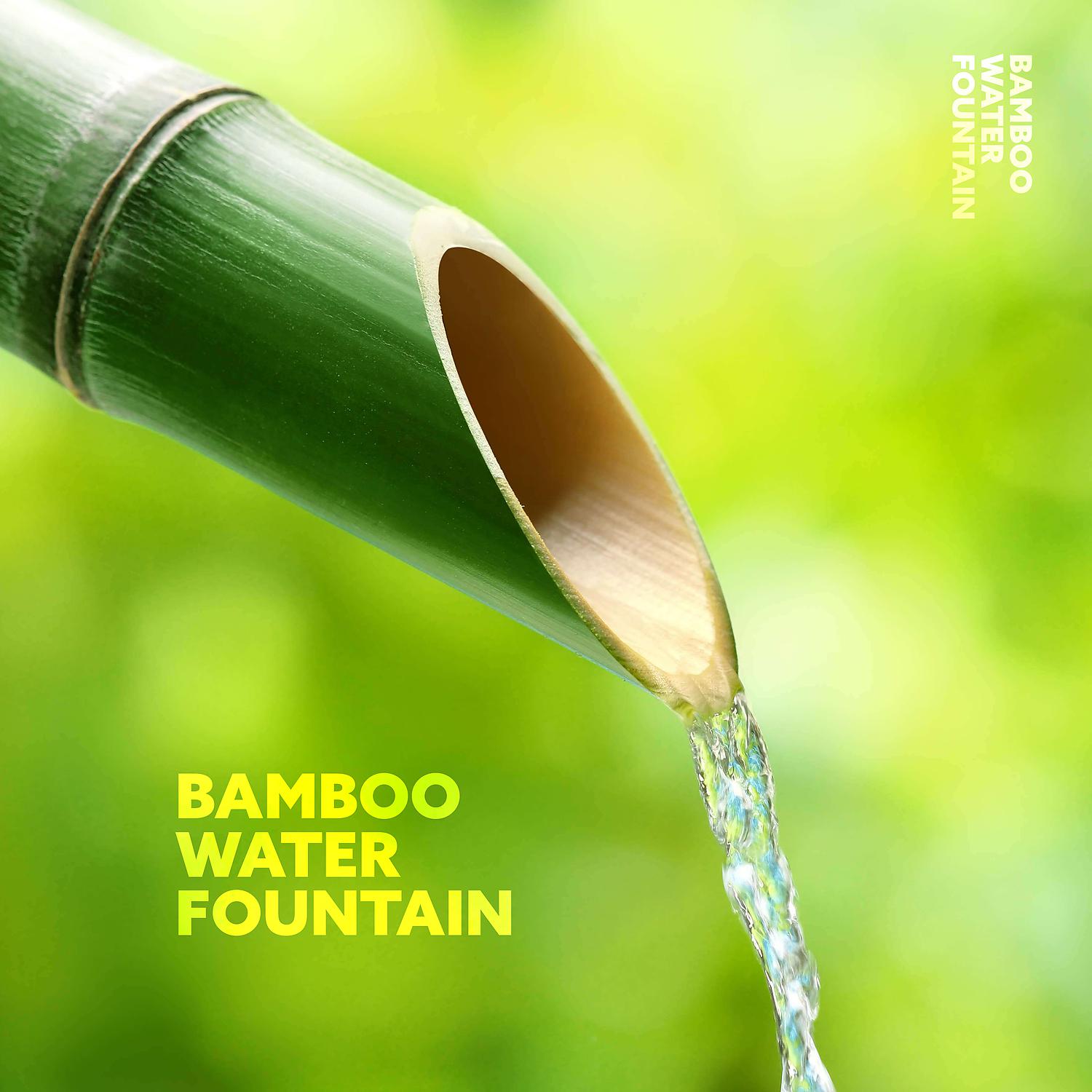 Постер альбома Bamboo Water Fountain: Relaxing Zen Piano