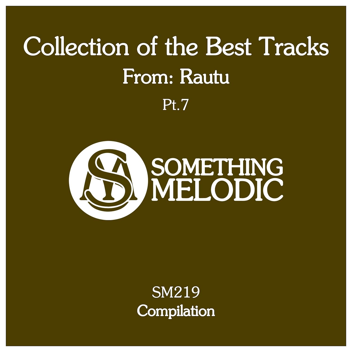 Постер альбома Collection of the Best Tracks From: Rautu, Pt. 7