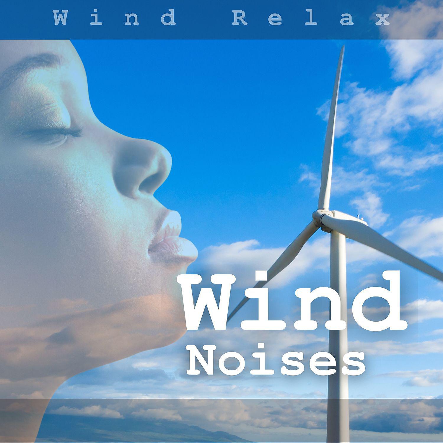 Постер альбома Wind Noises