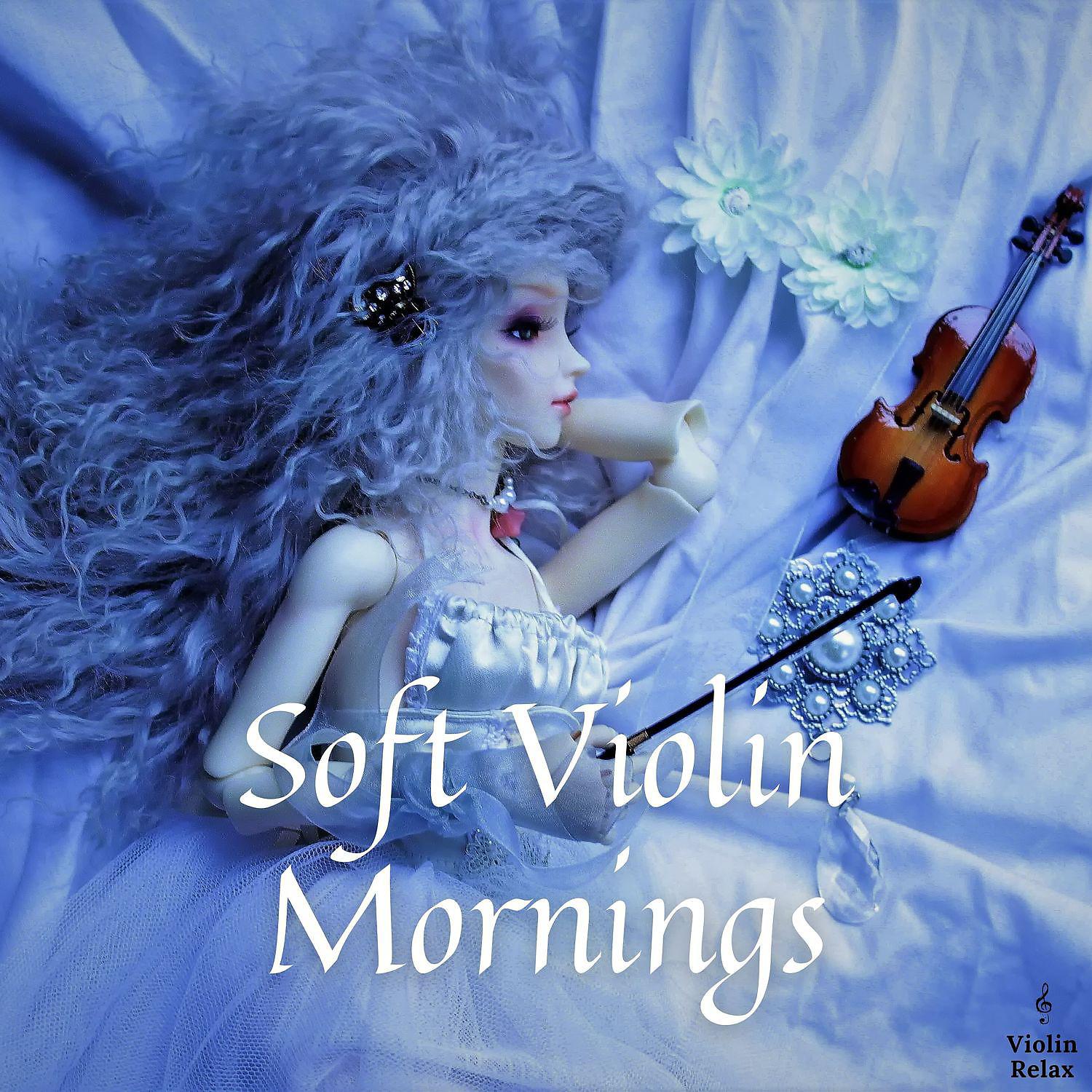 Постер альбома Soft Violin Mornings