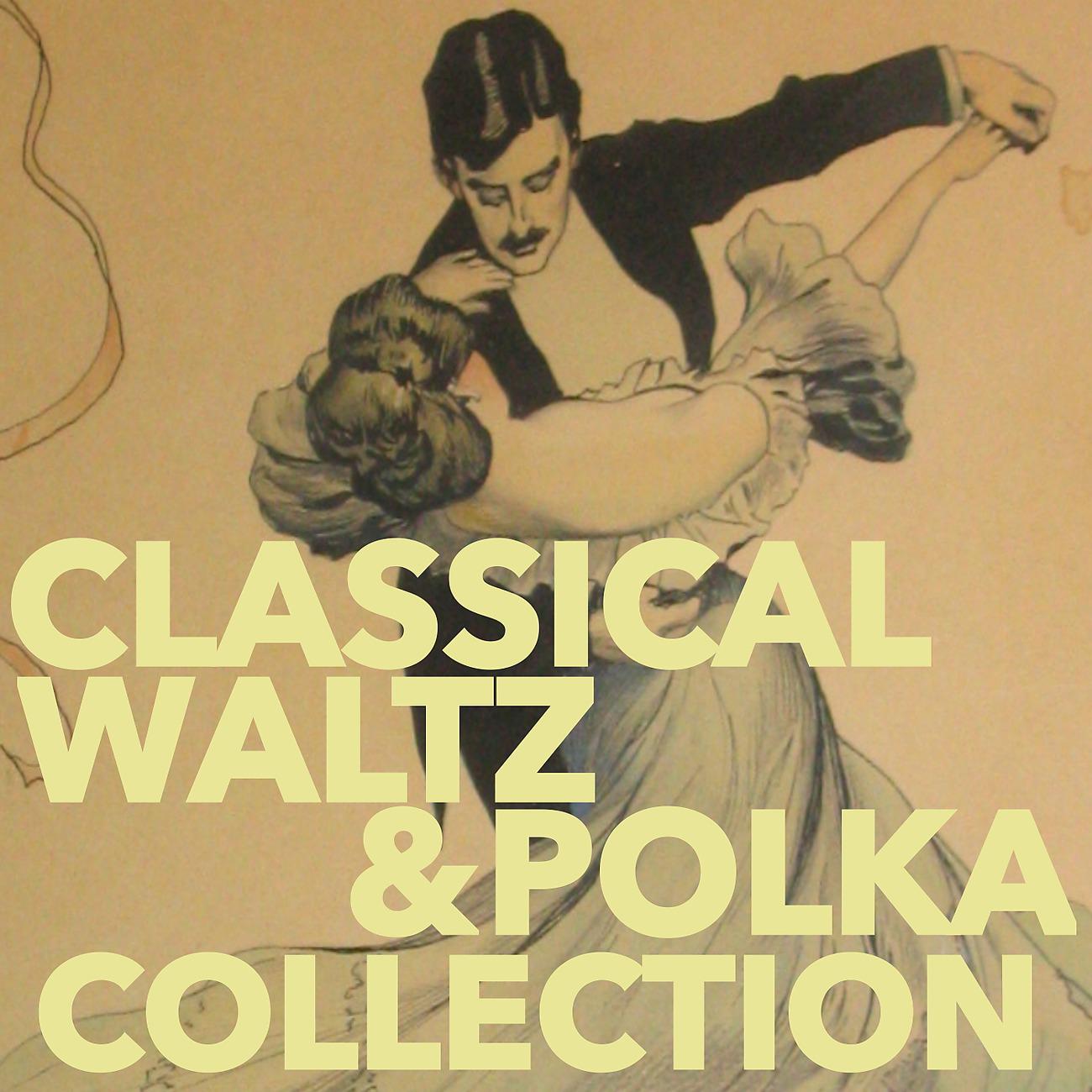 Постер альбома Classical Waltz & Polka Collection