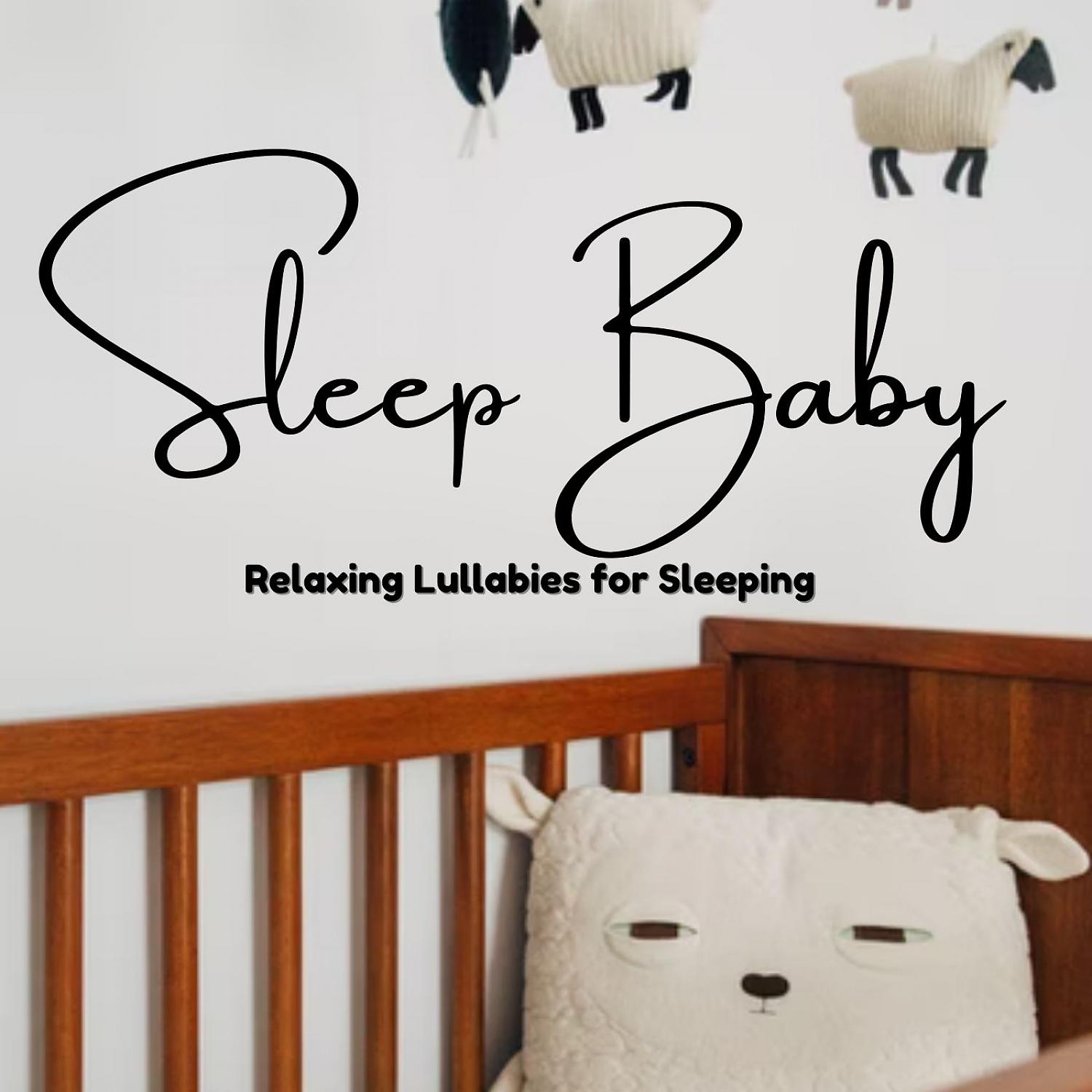 Постер альбома Sleep Baby: Relaxing Lullabies for Sleeping