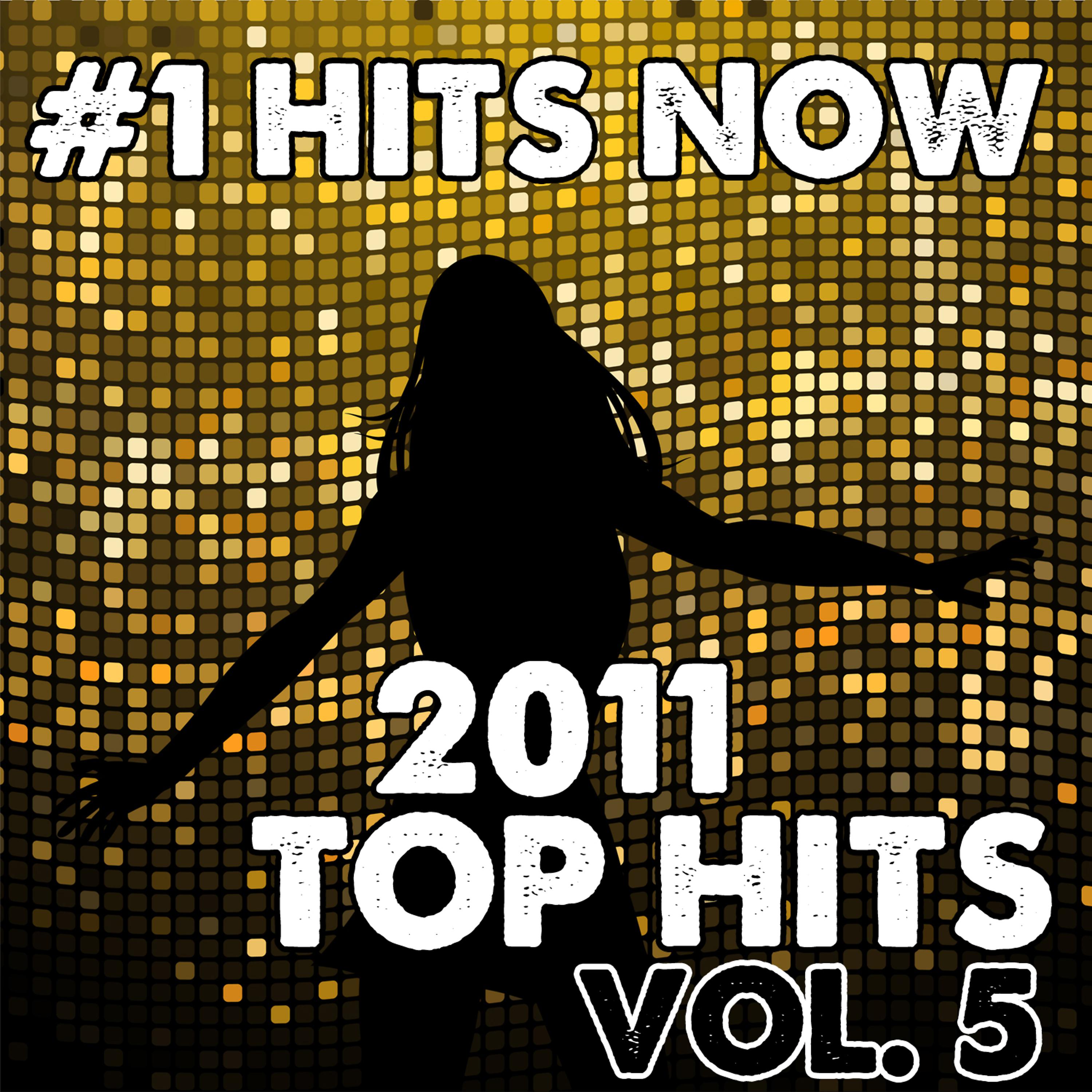 Постер альбома 2011 Top Hits Vol. 5