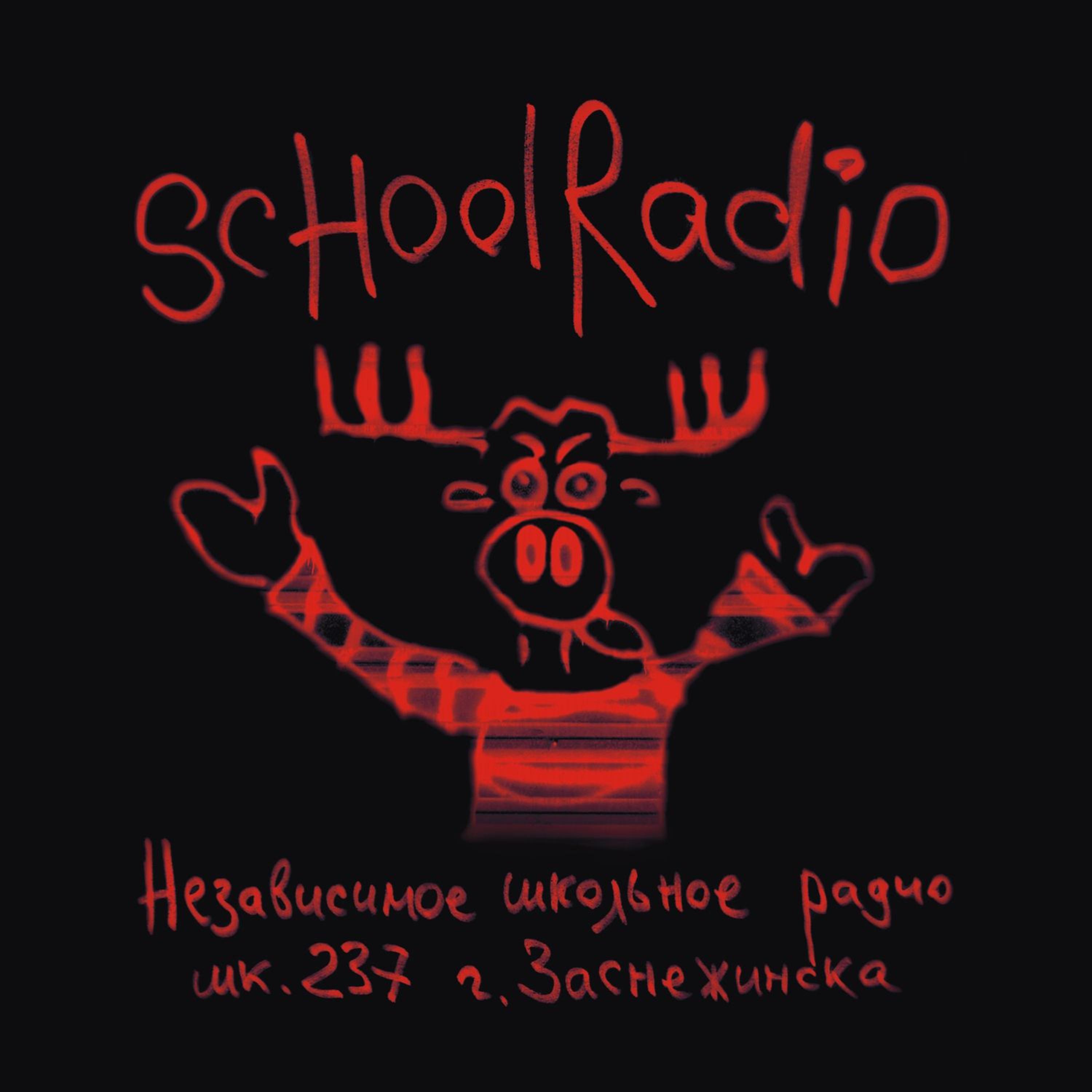 Постер альбома Независимое школьное радио шк. 237 г. Заснежинска