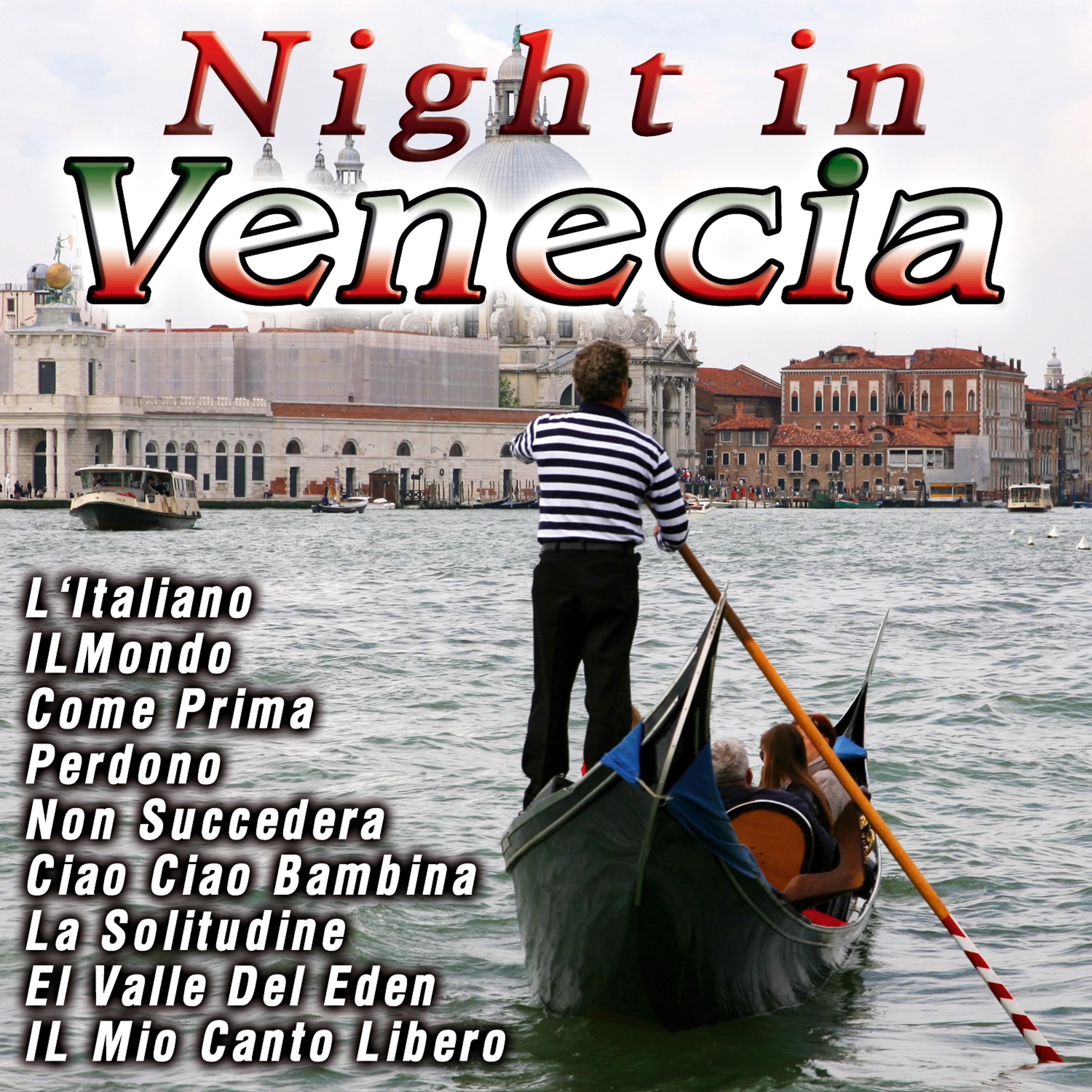 Постер альбома Night In  Venecia