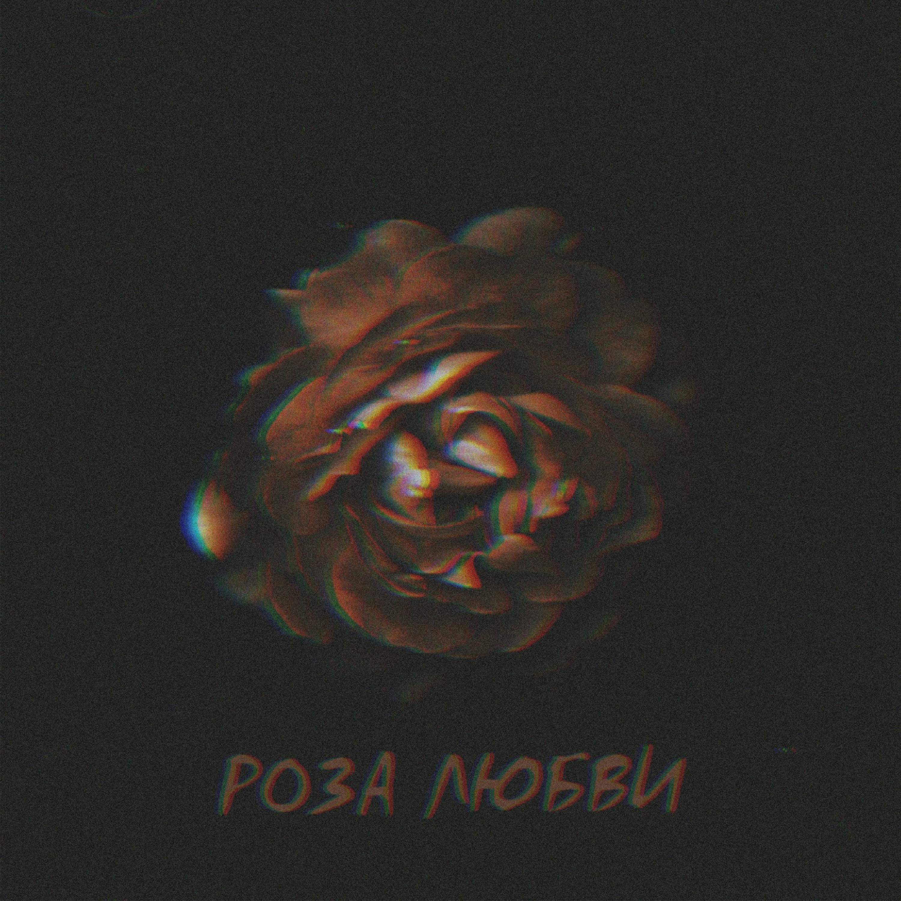 Постер альбома Роза любви
