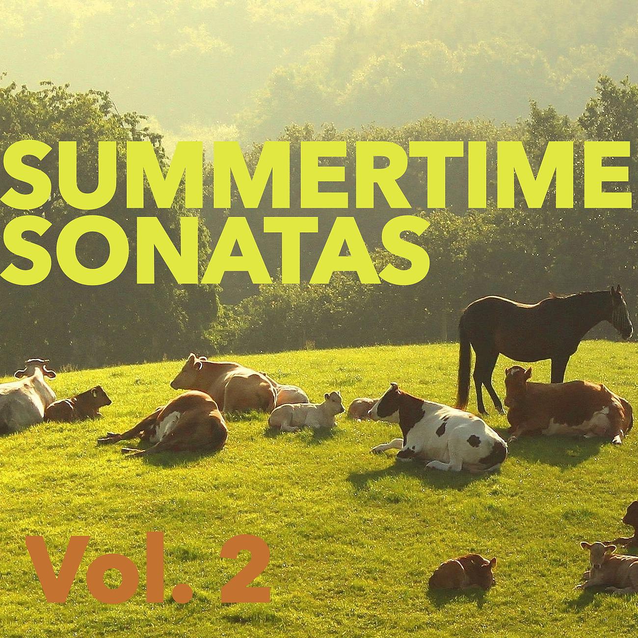 Постер альбома Summertime Sonatas, Vol. 2